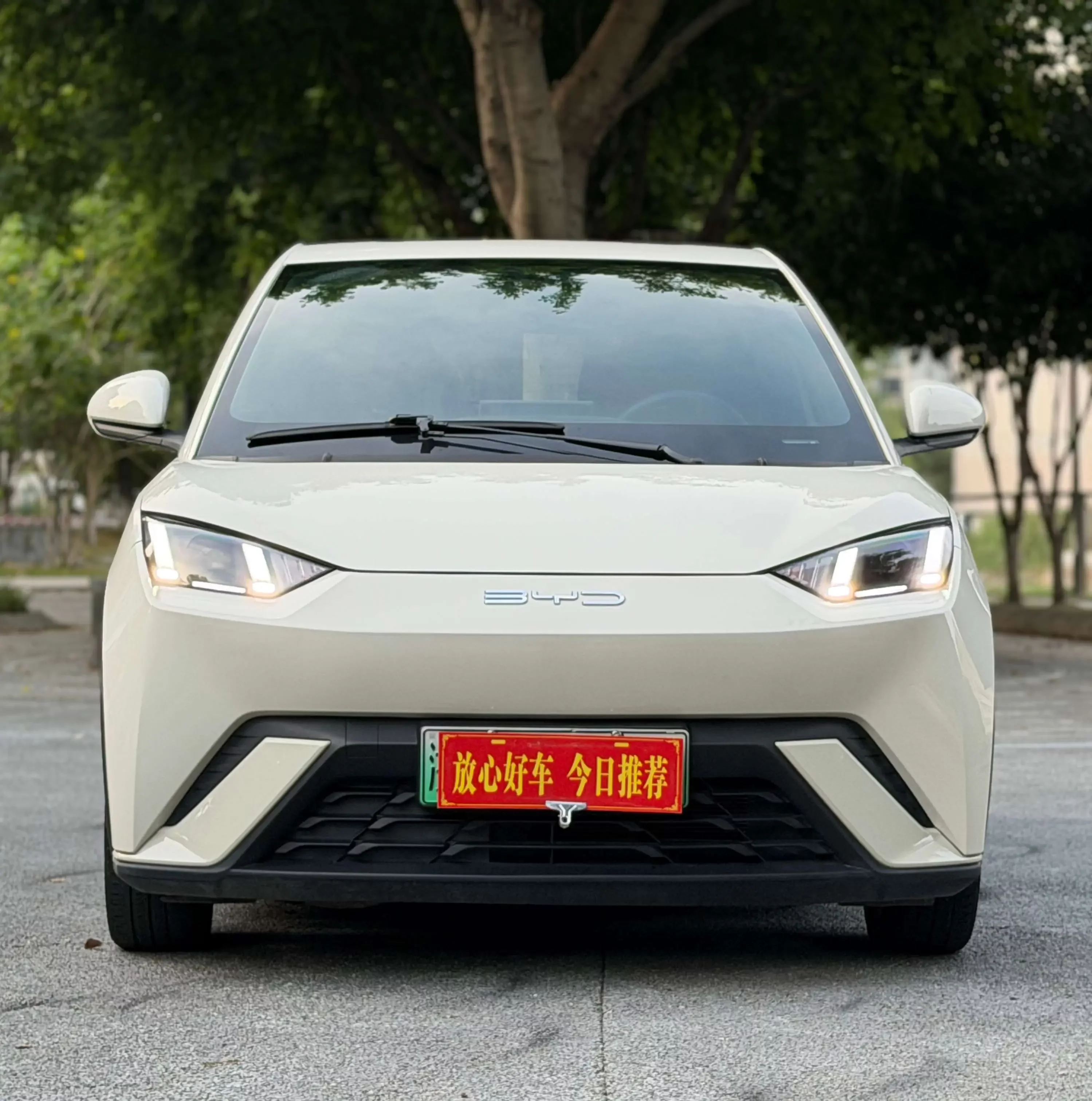 BYD seagull