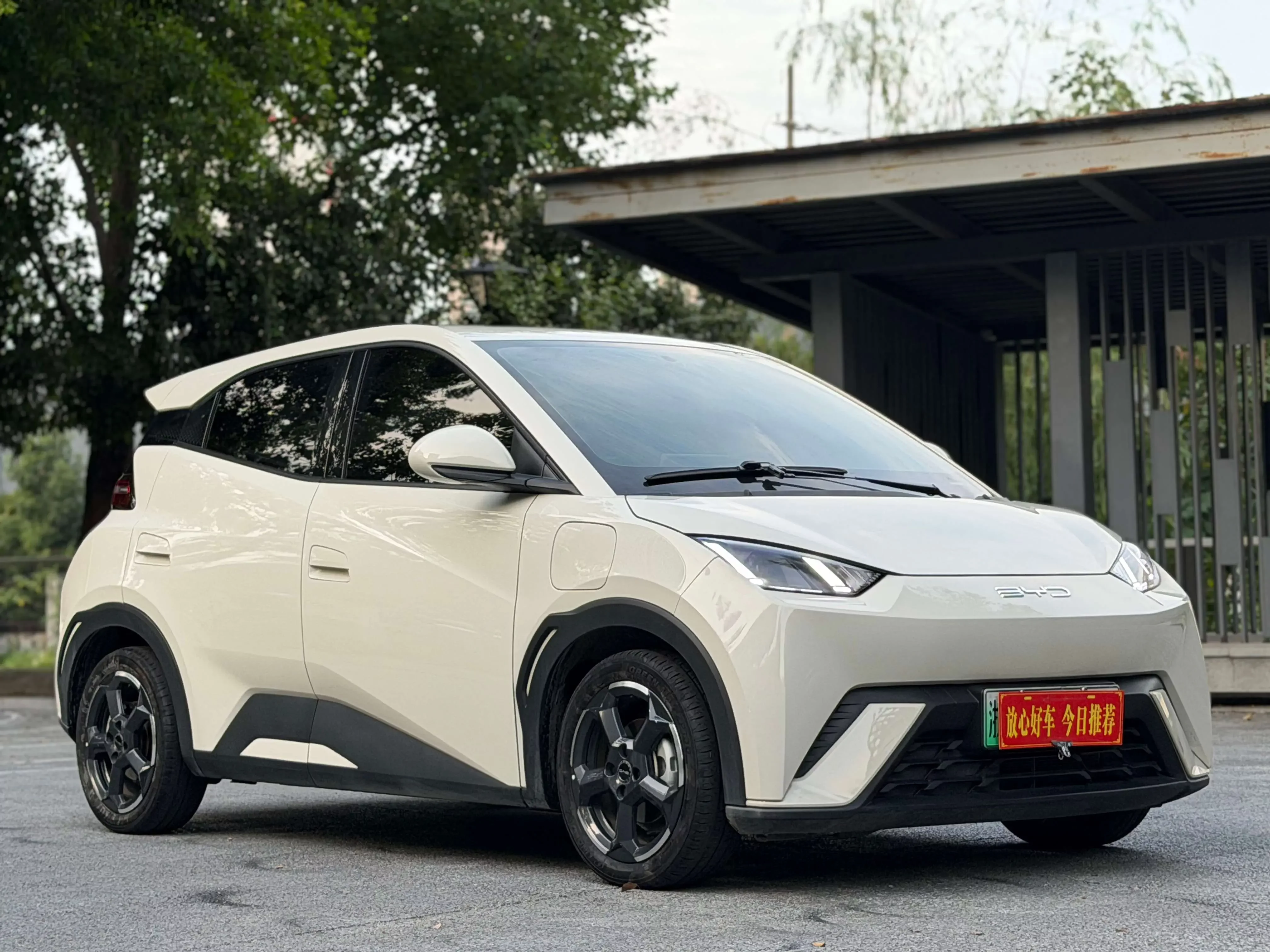 BYD seagull