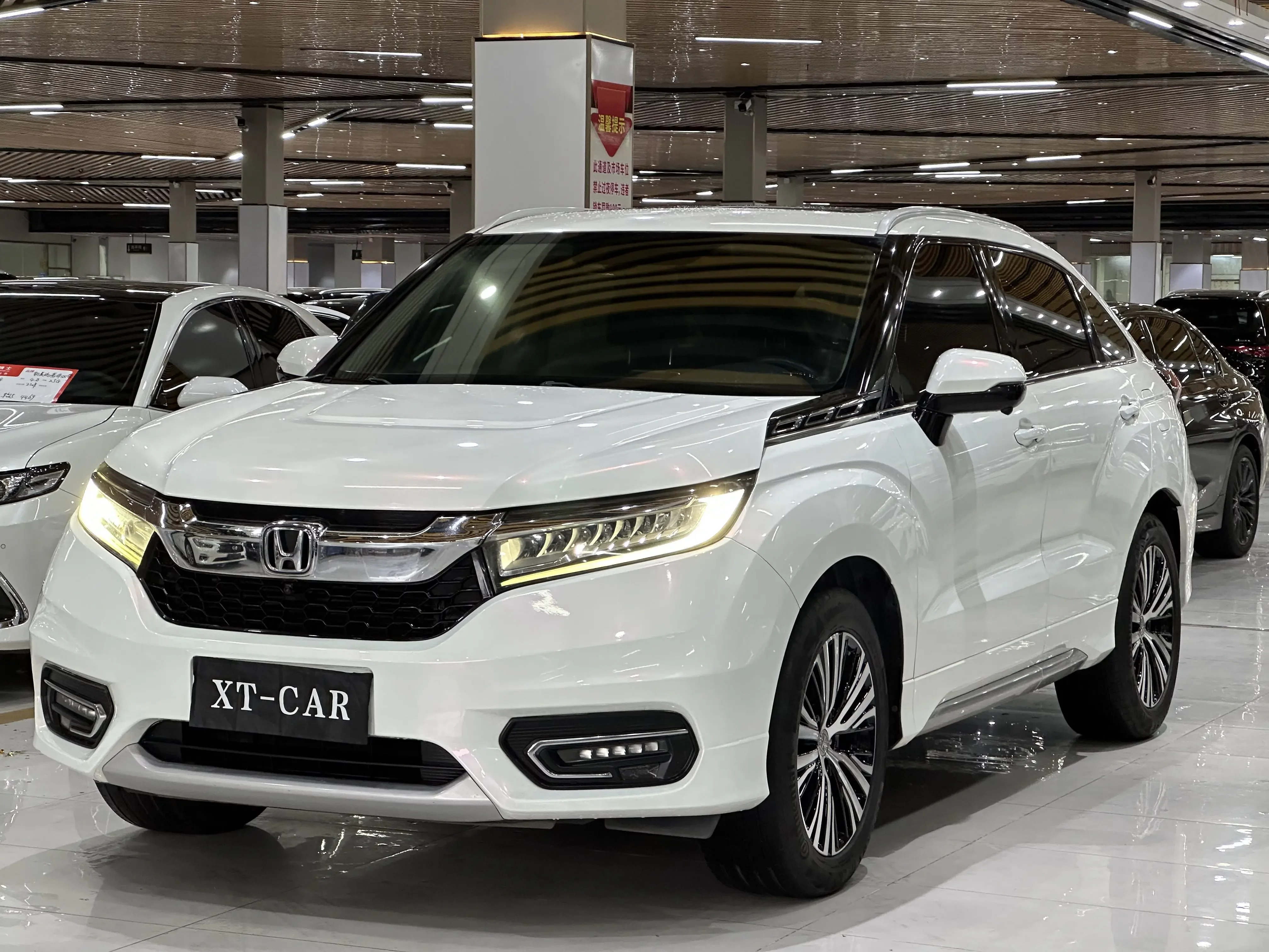 Honda Avancier (Crown Road)