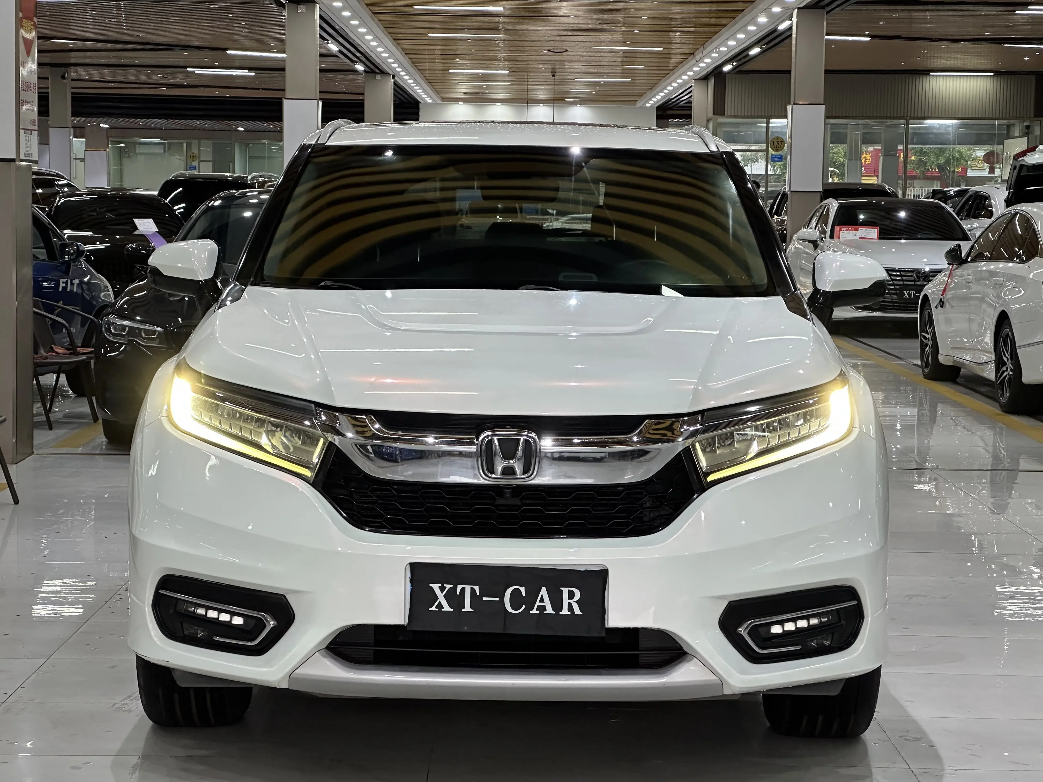 Honda Avancier (Crown Road)