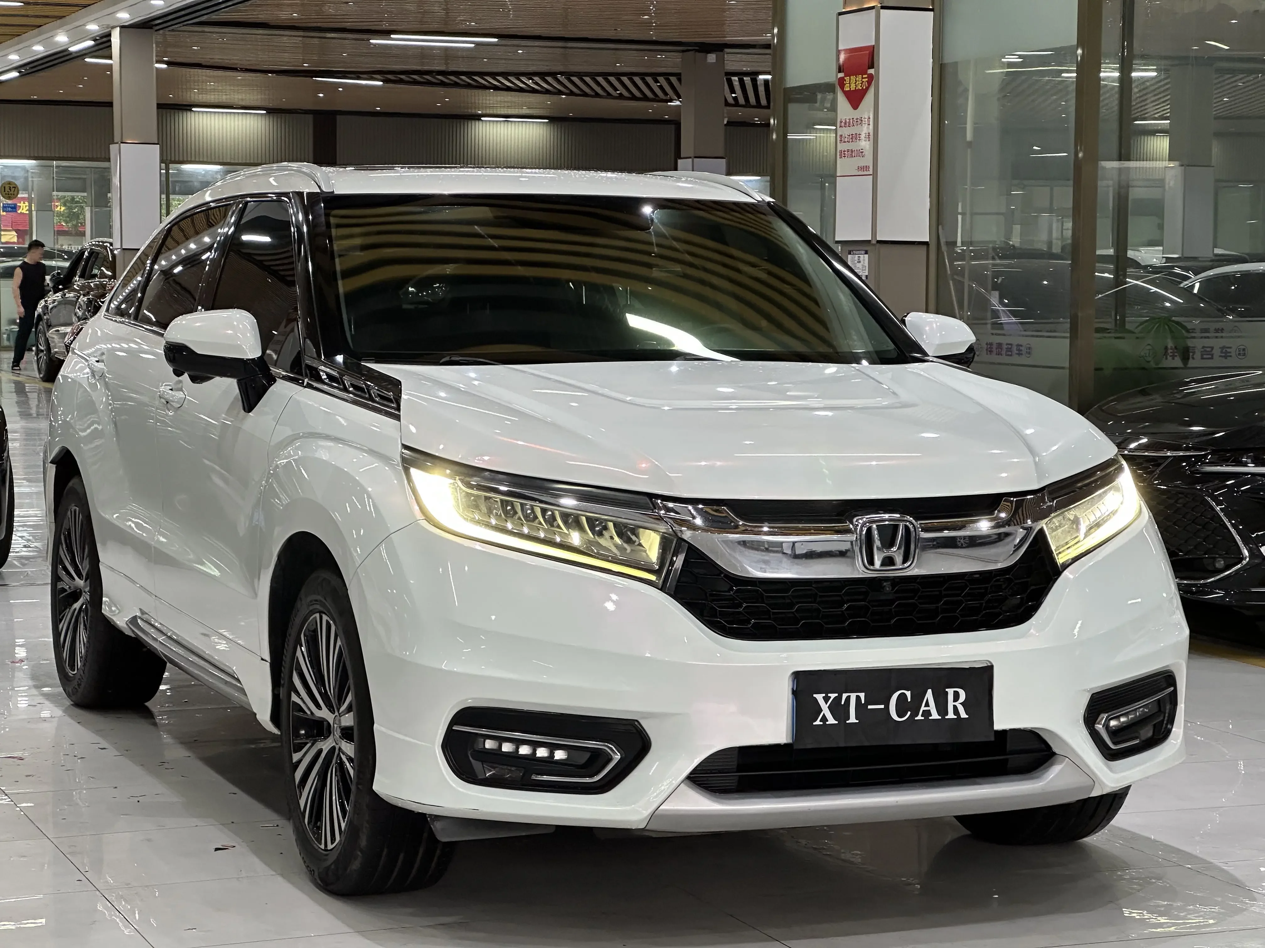 Honda Avancier (Crown Road)