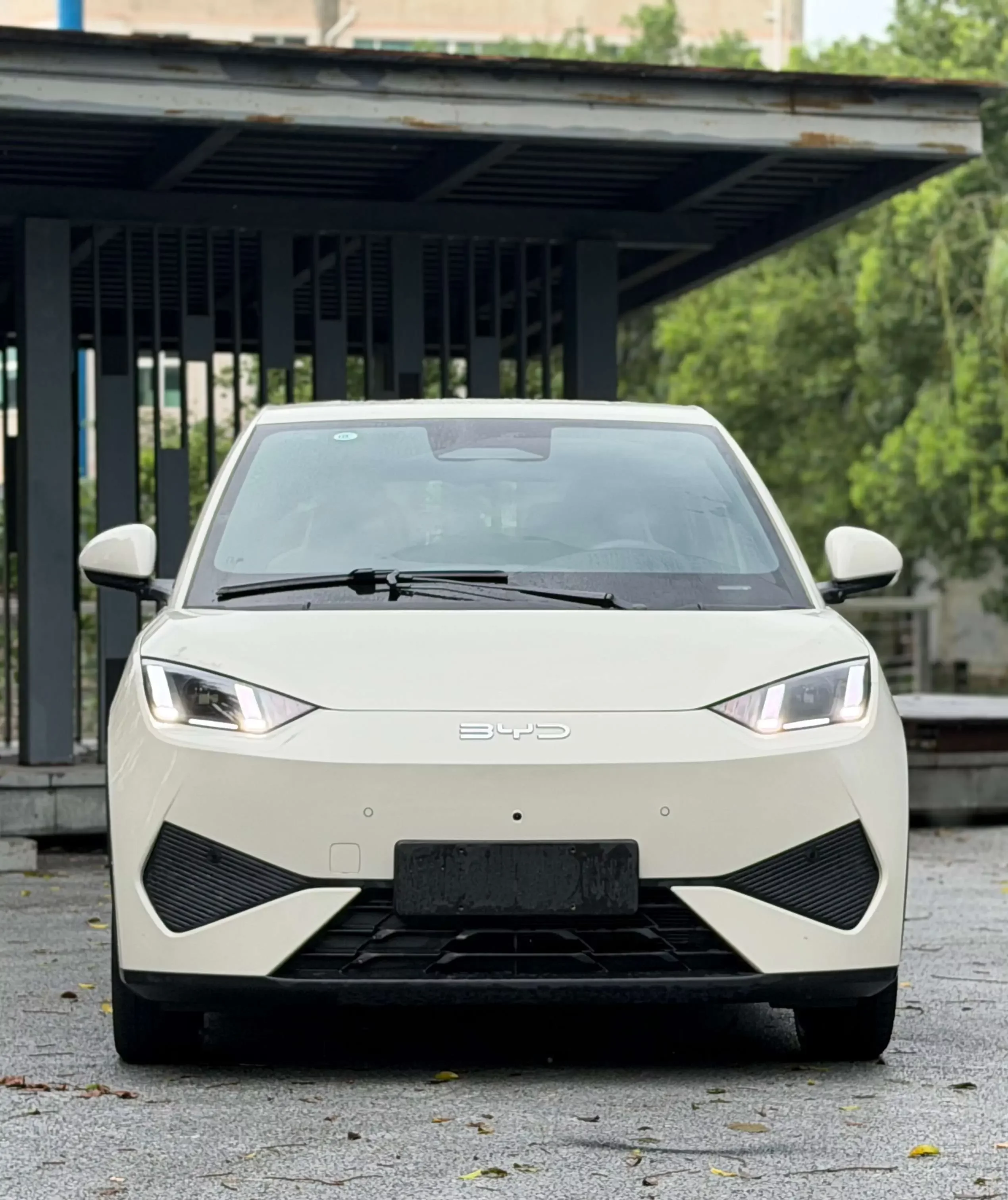 BYD seagull