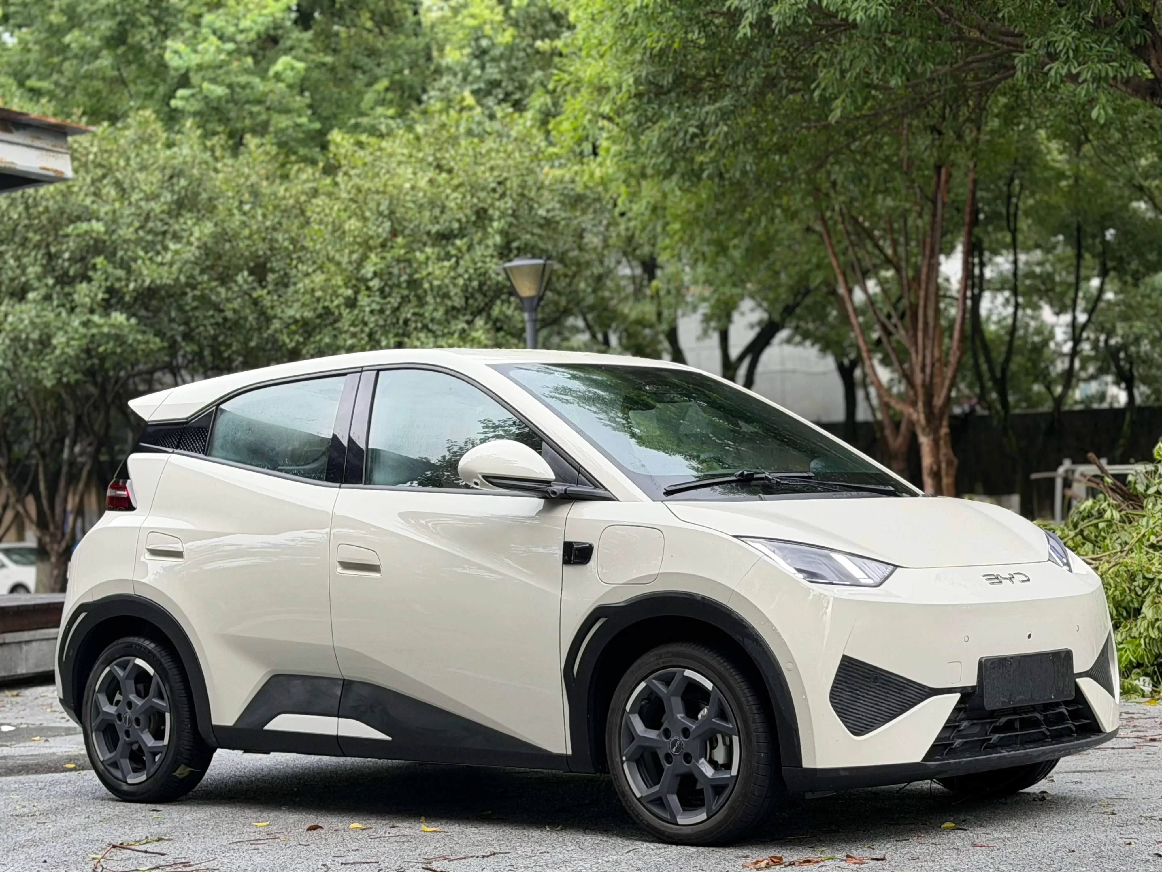 BYD seagull