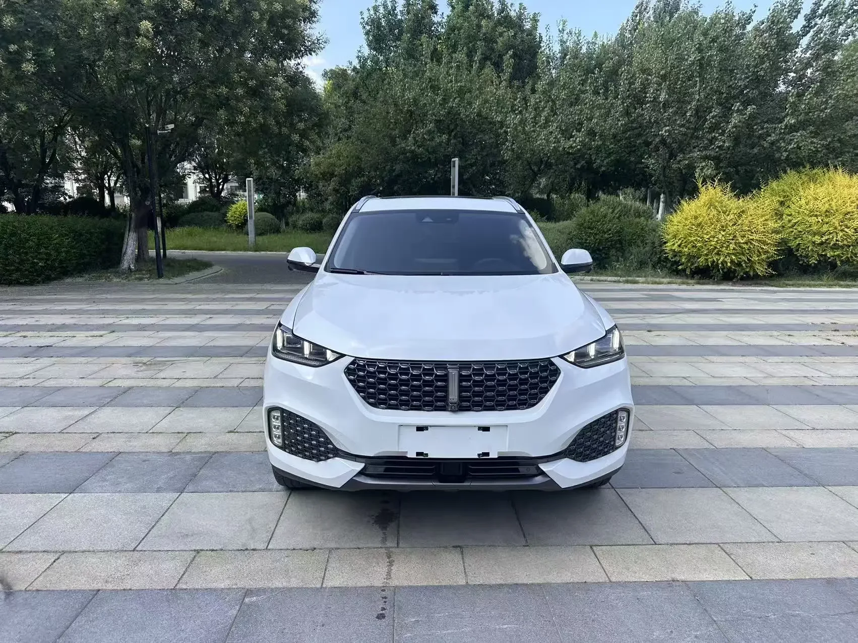 Wey Wei brand VV6