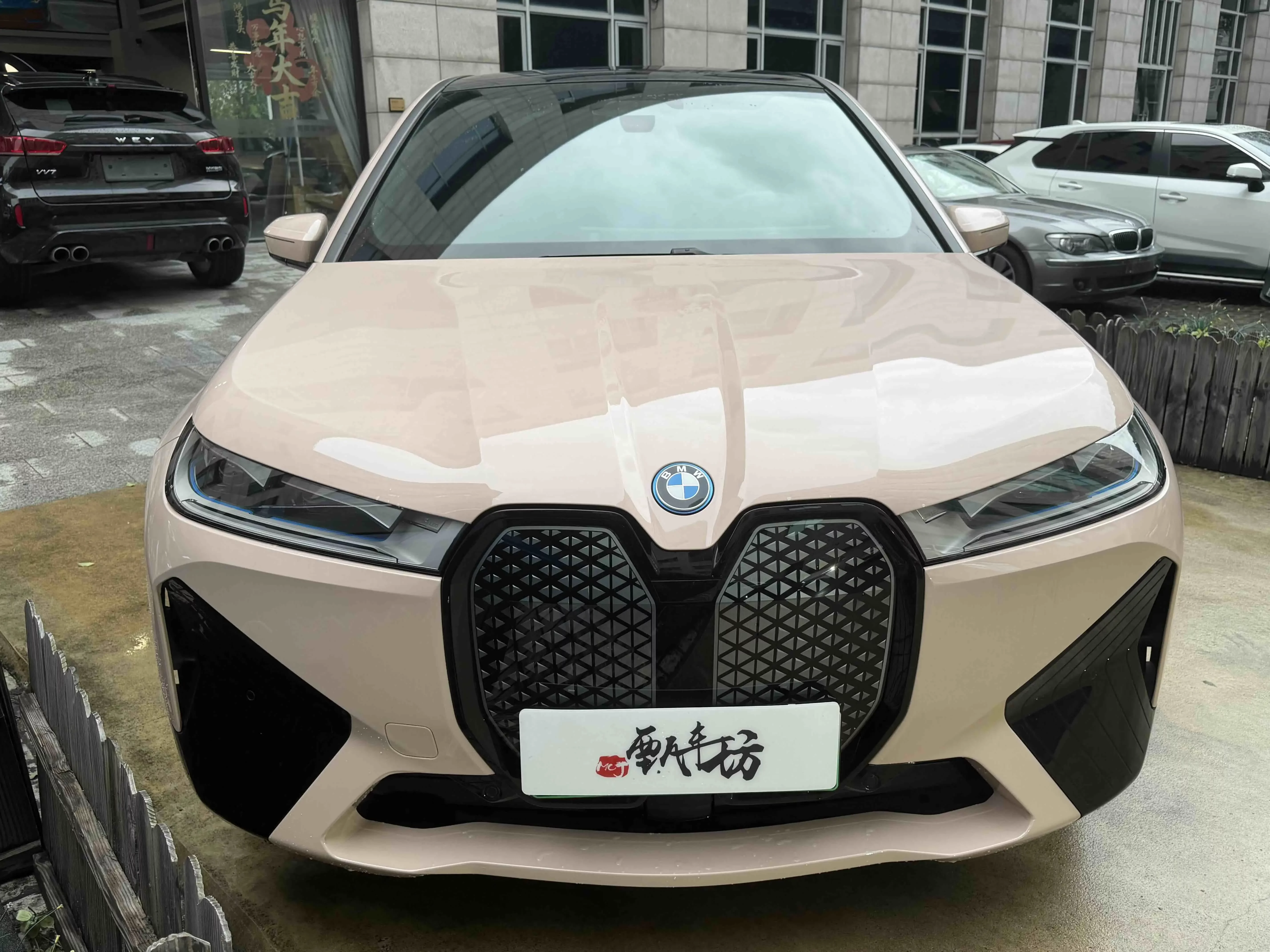 BMW iX