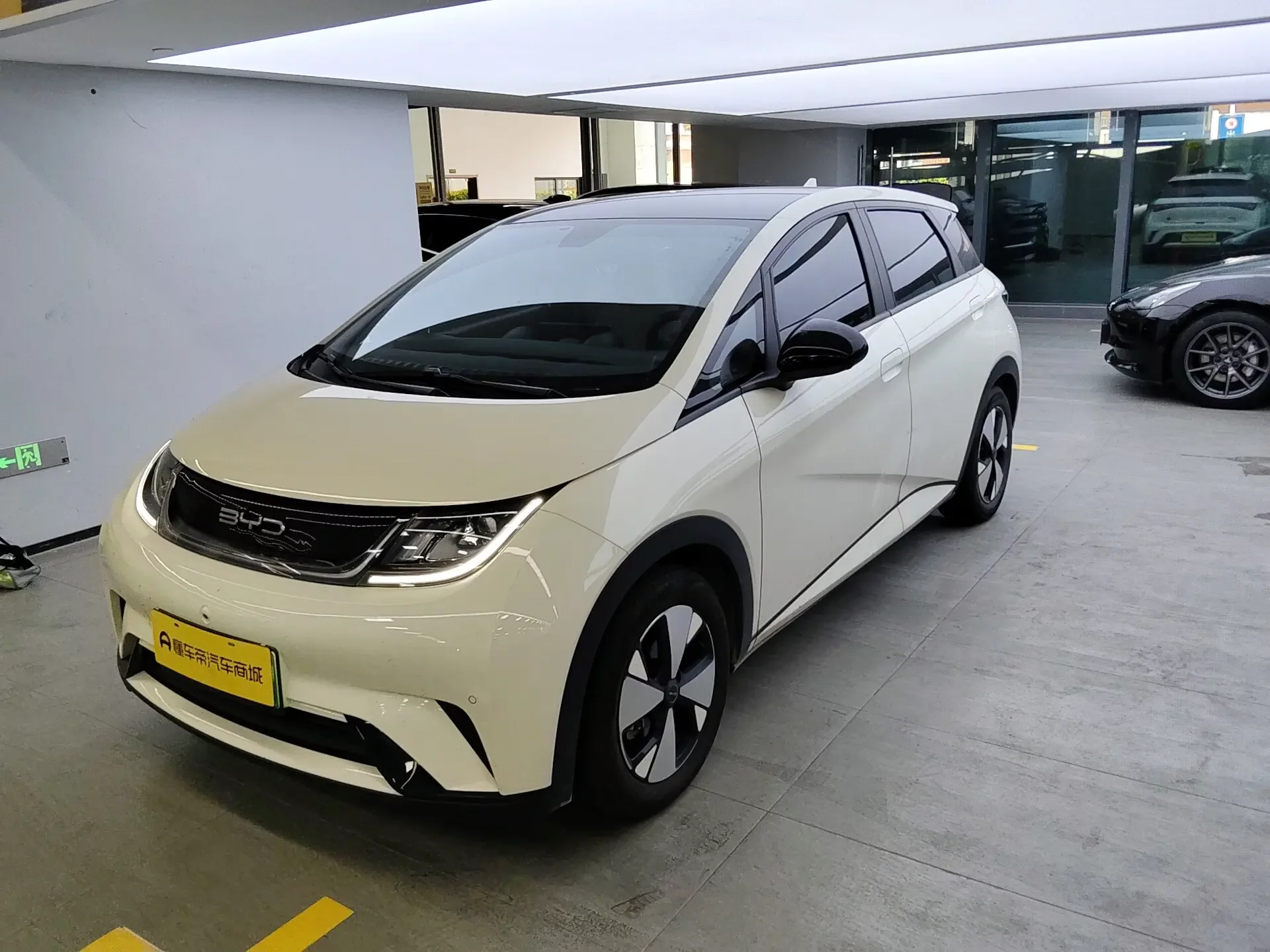 BYD dolphin