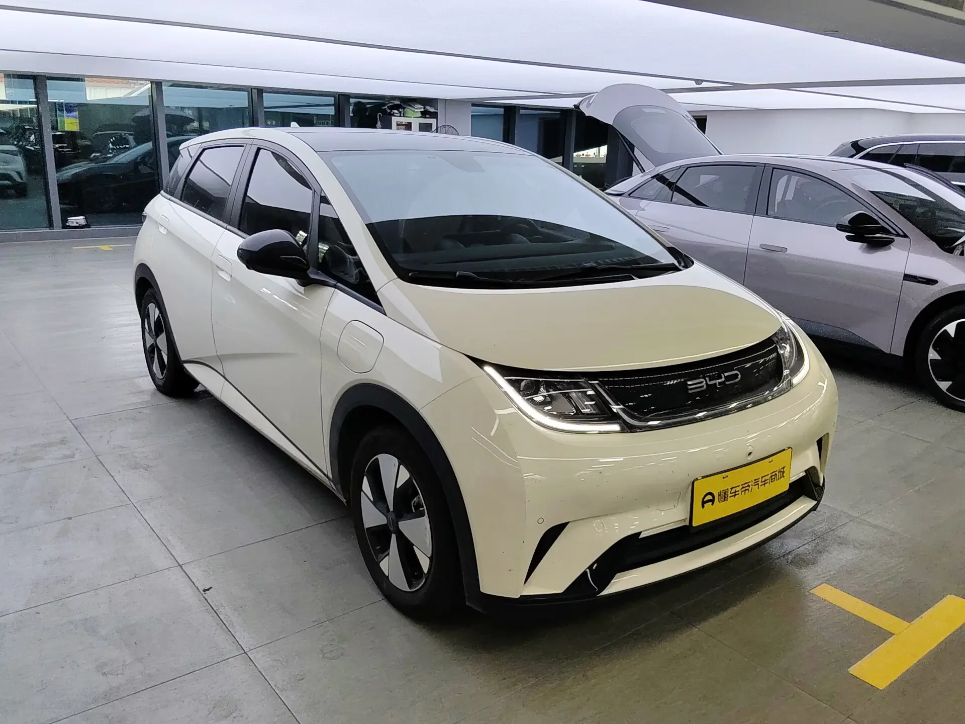 BYD dolphin
