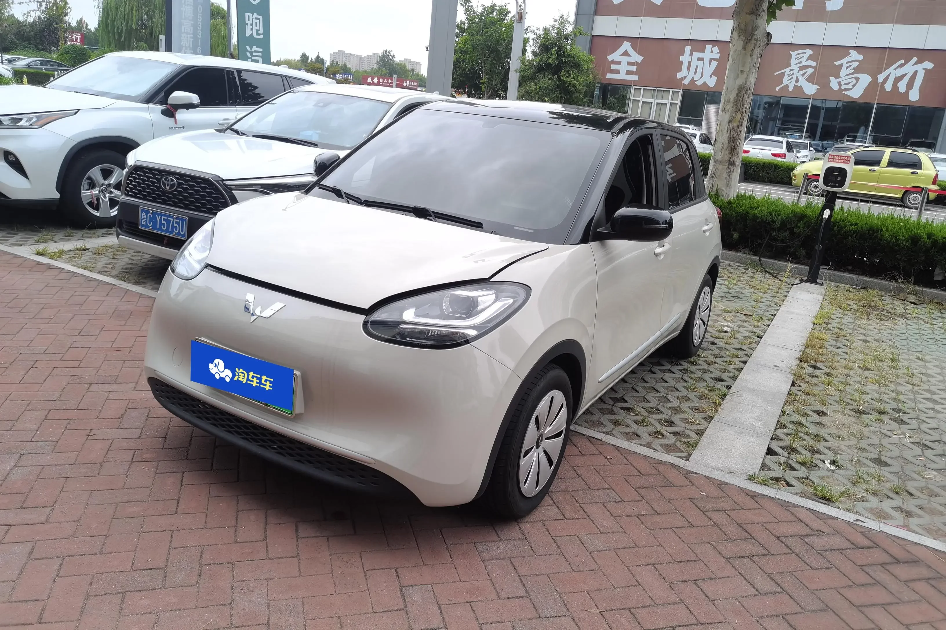 Wuling Bingo