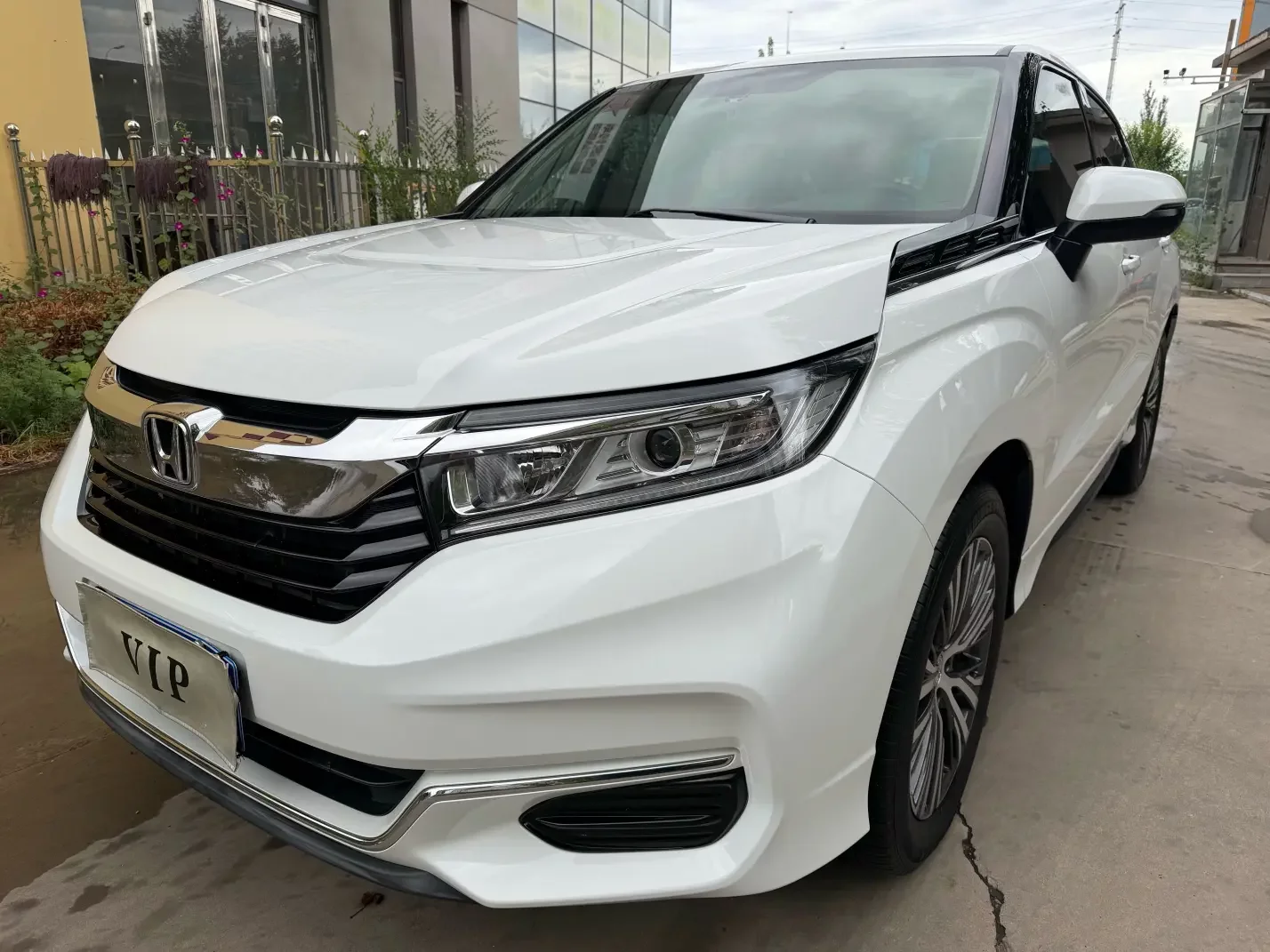 Honda Avancier (Crown Road)