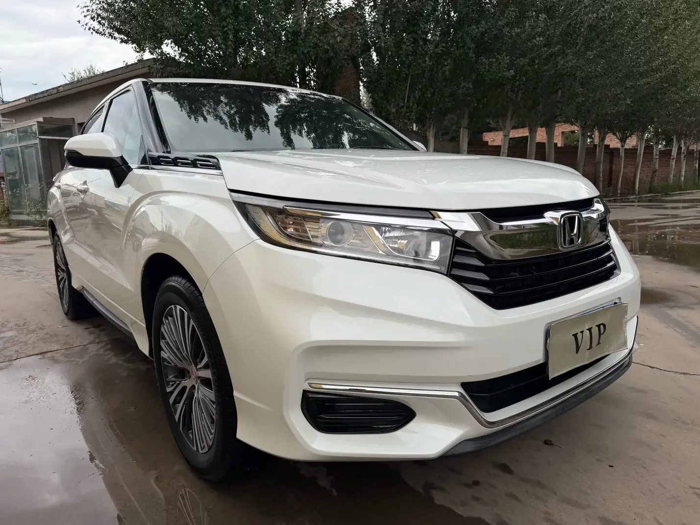 Honda Avancier (Crown Road)