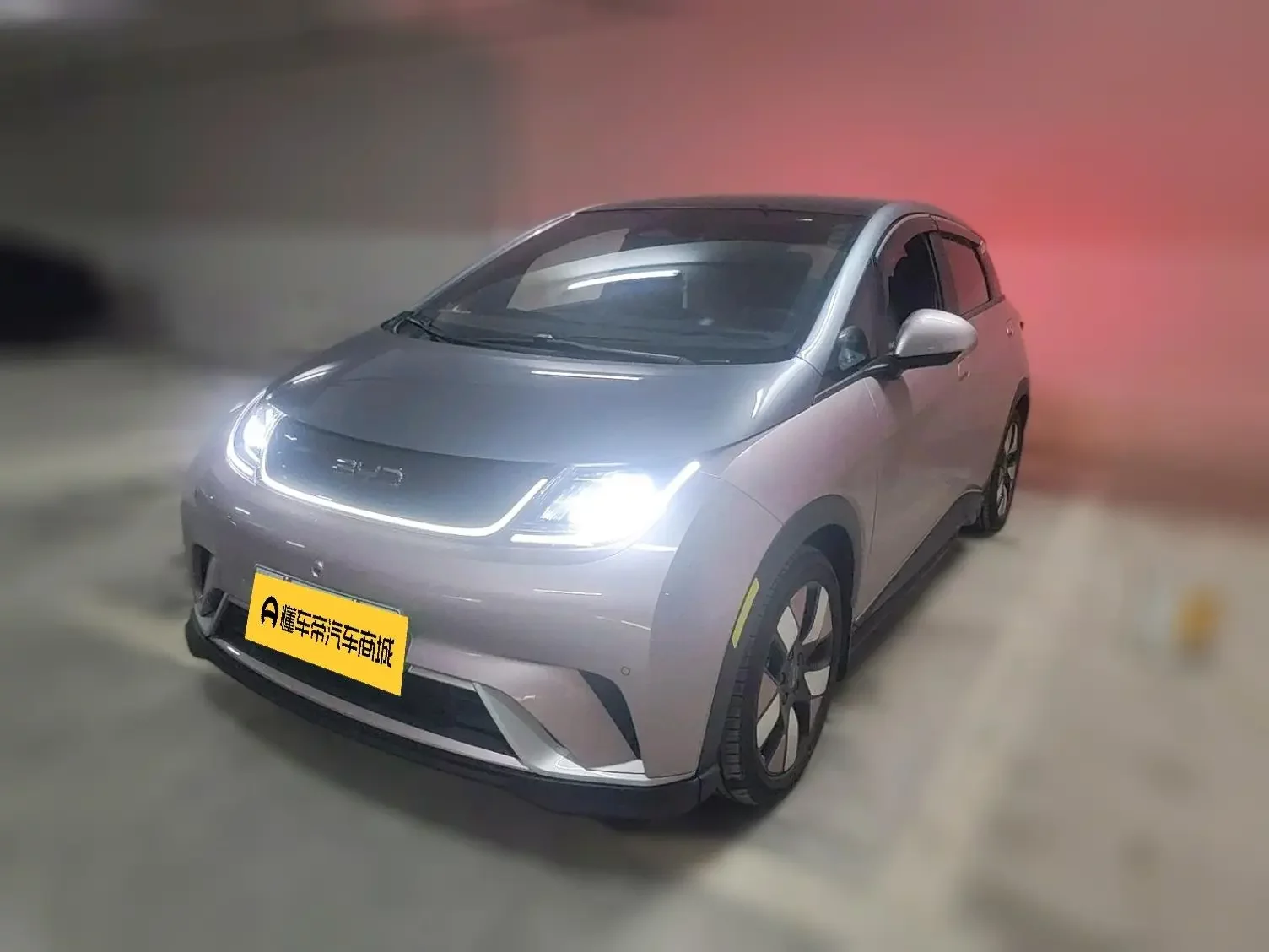 BYD dolphin