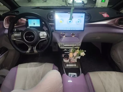 BYD Dolphin