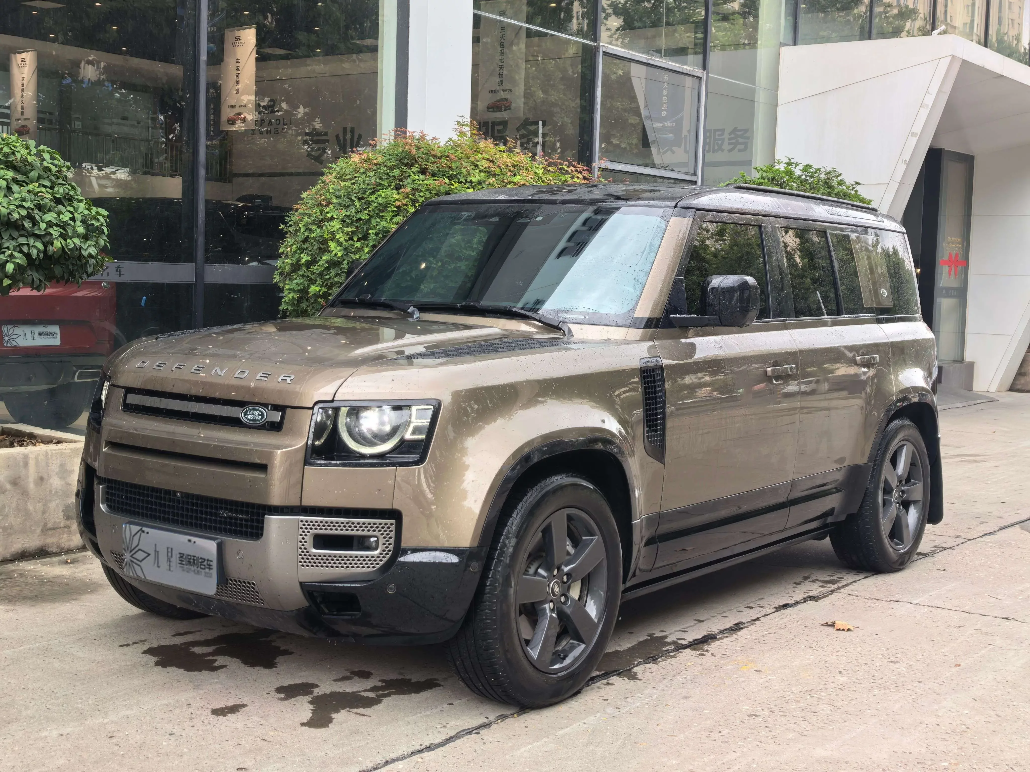 Land Rover guard