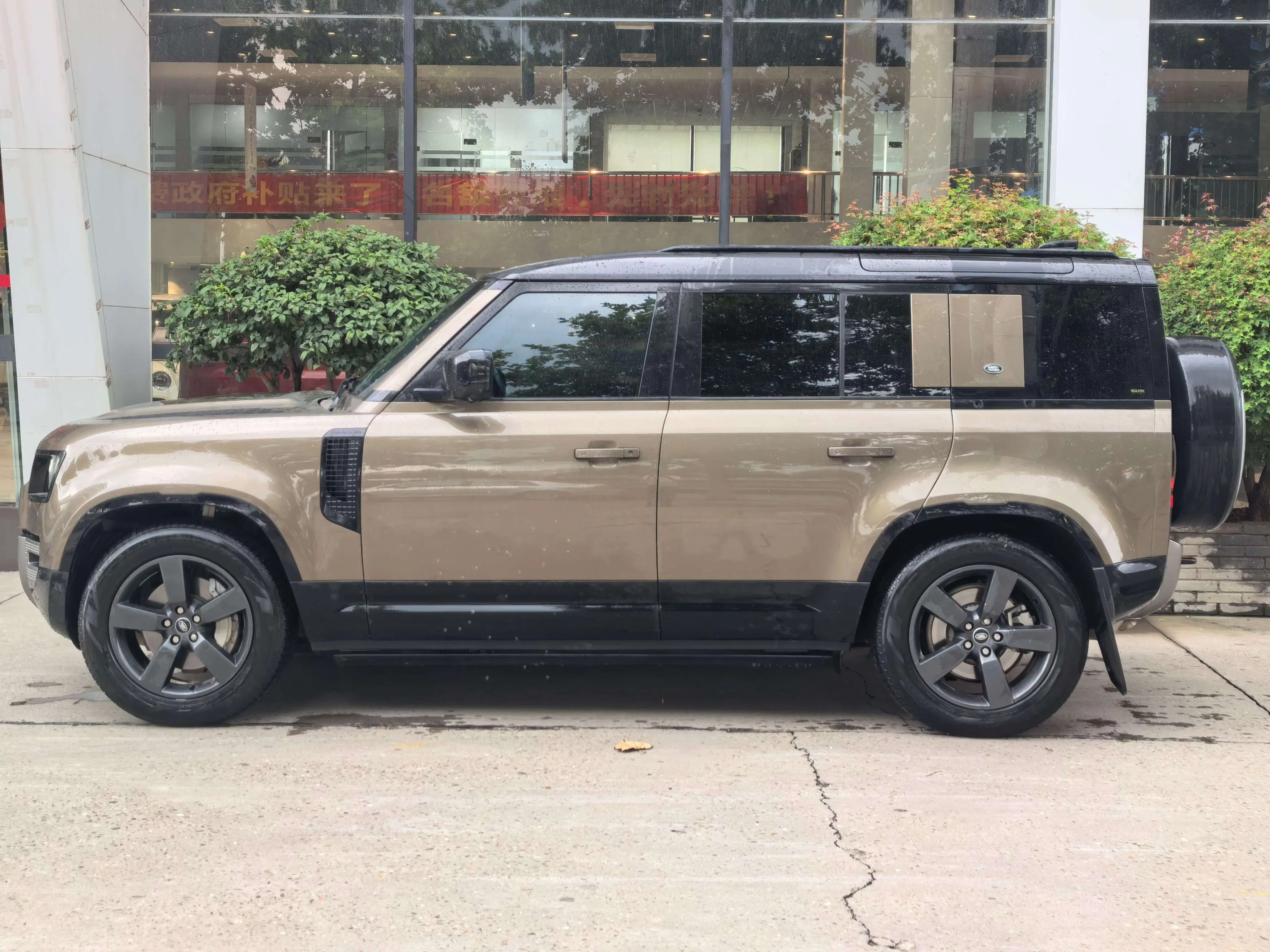 Land Rover guard