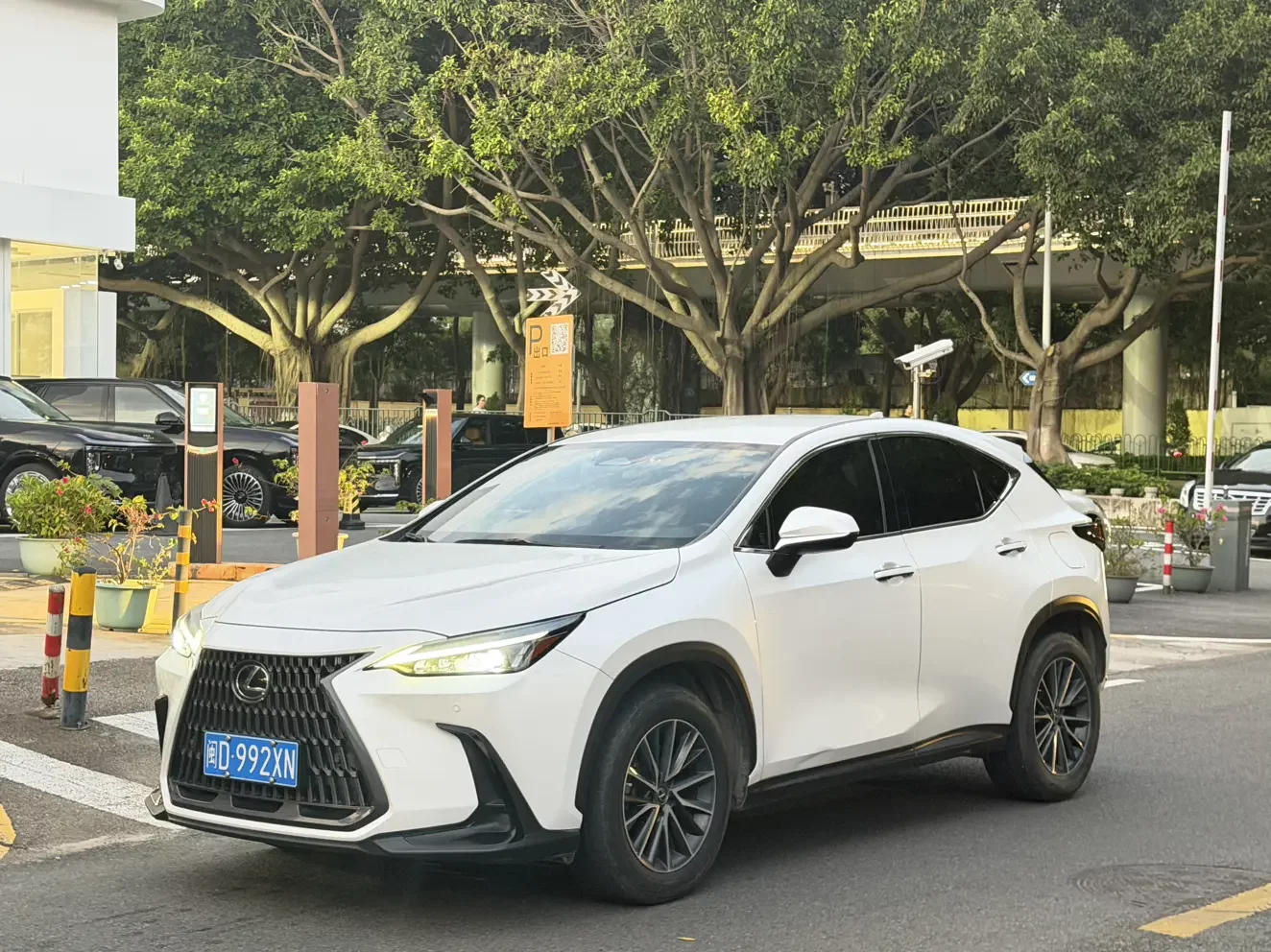 Lexus NX