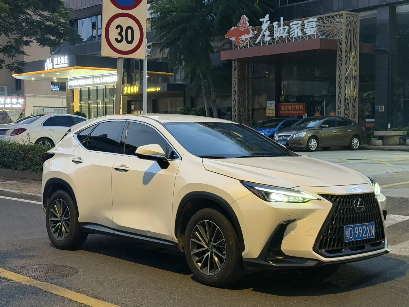 Lexus NX