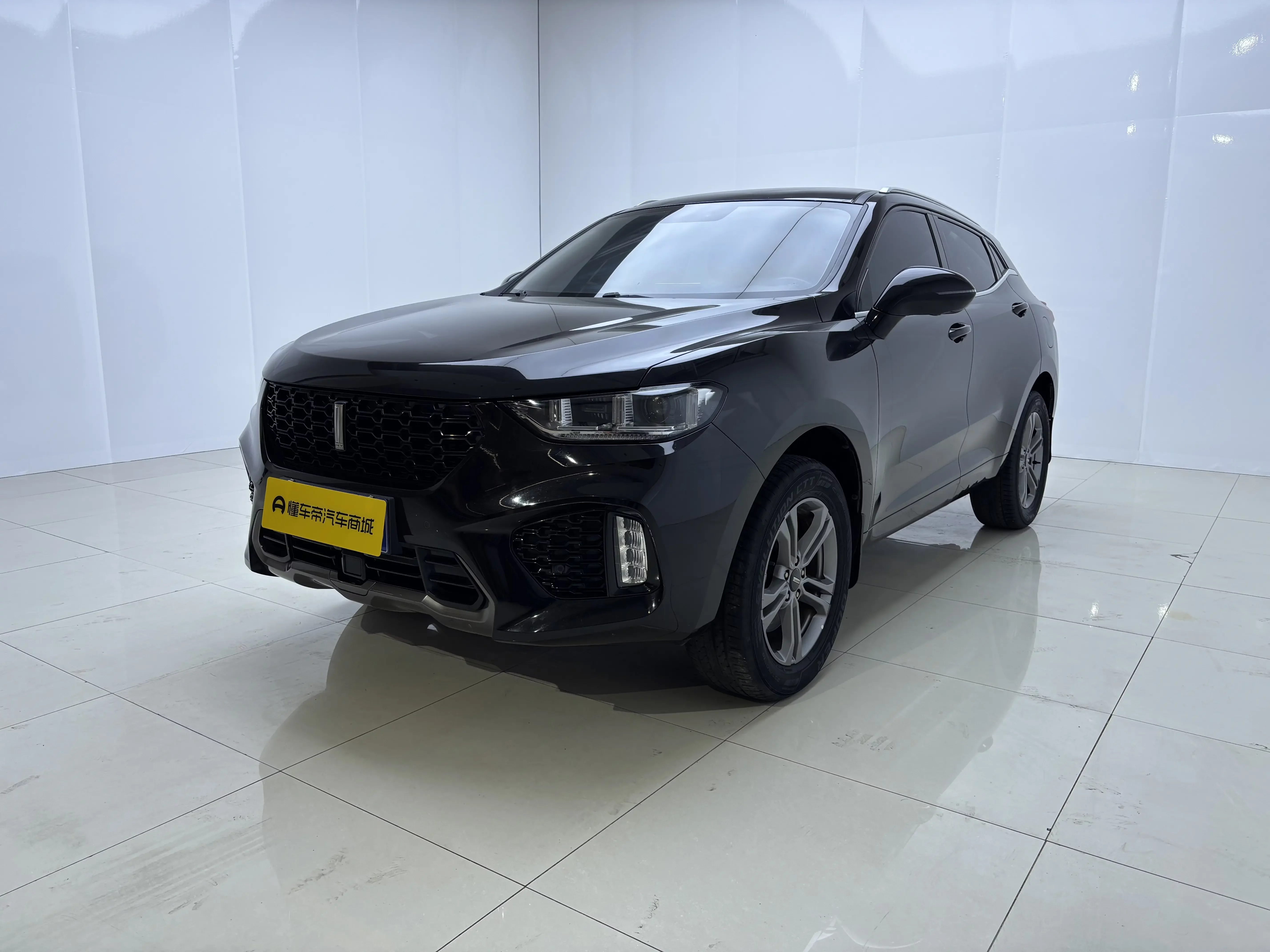 Wey Wei brand VV5