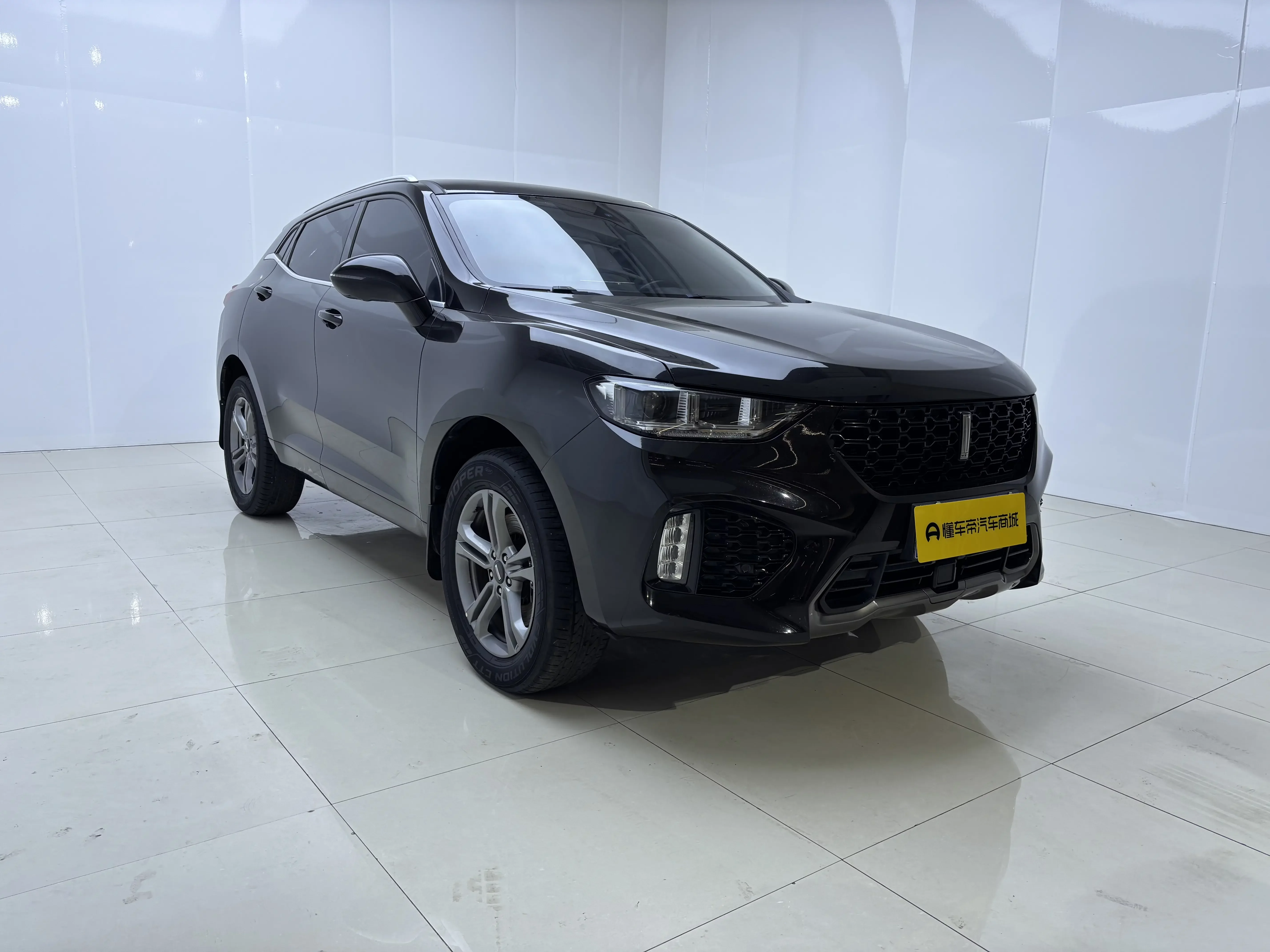 Wey Wei brand VV5