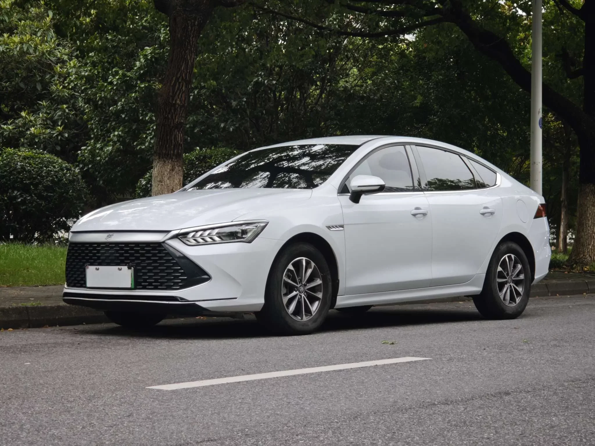 BYD Qin PLUS DM