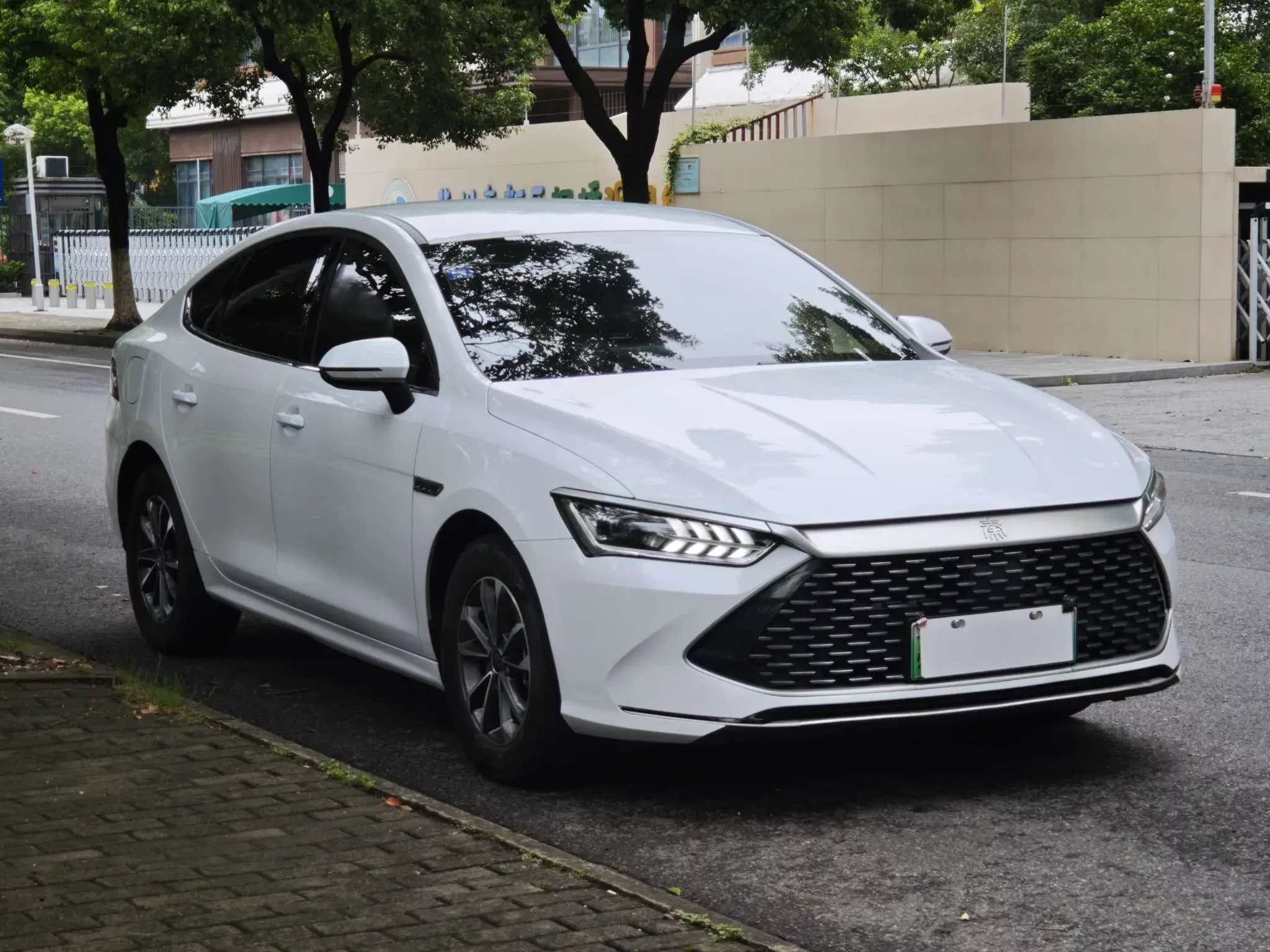 BYD Qin PLUS DM