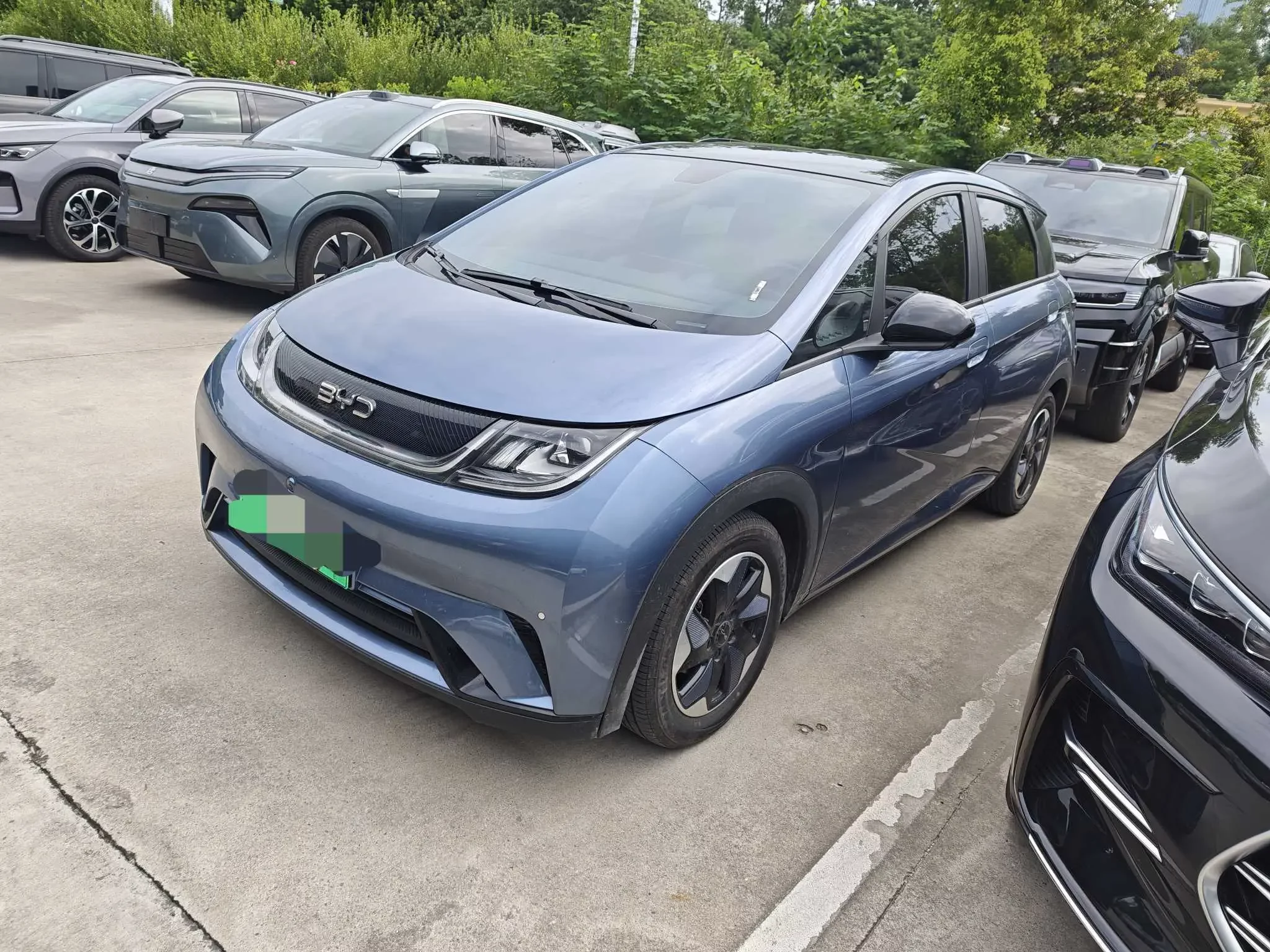 BYD dolphin