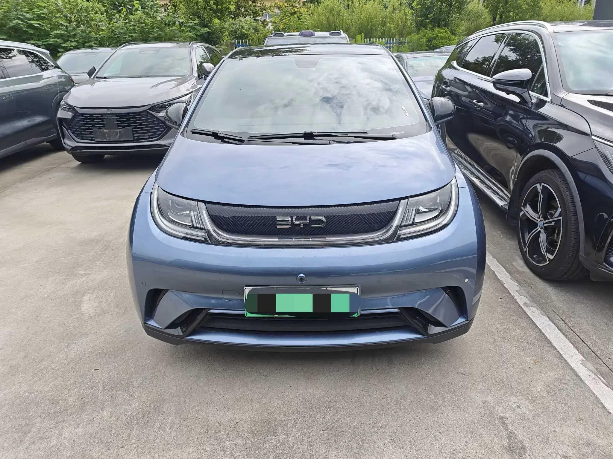BYD dolphin