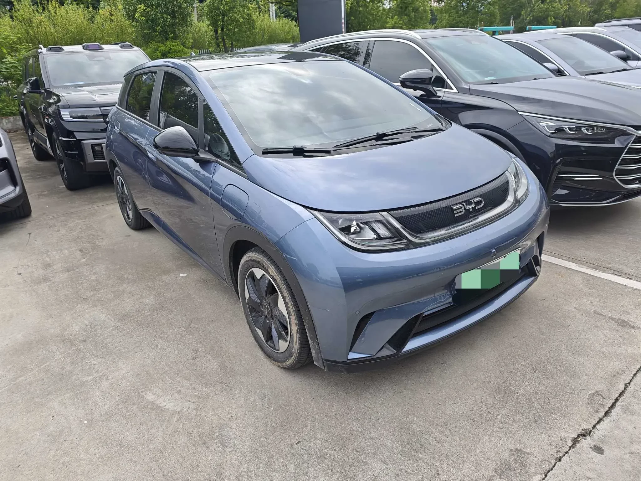 BYD dolphin