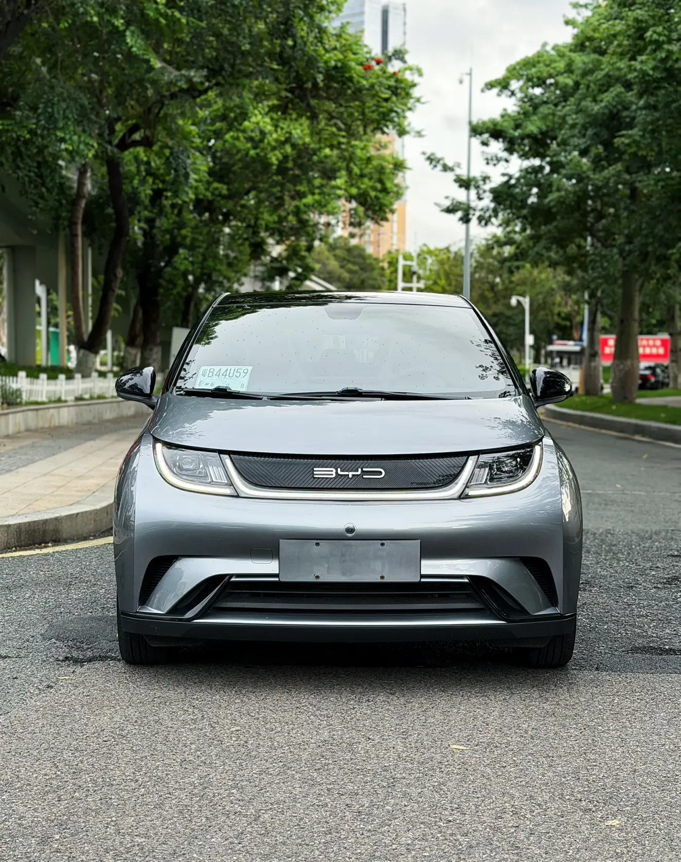 BYD dolphin