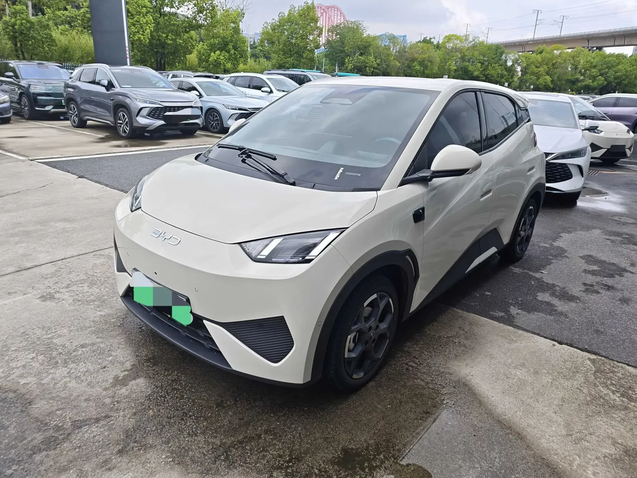 BYD seagull