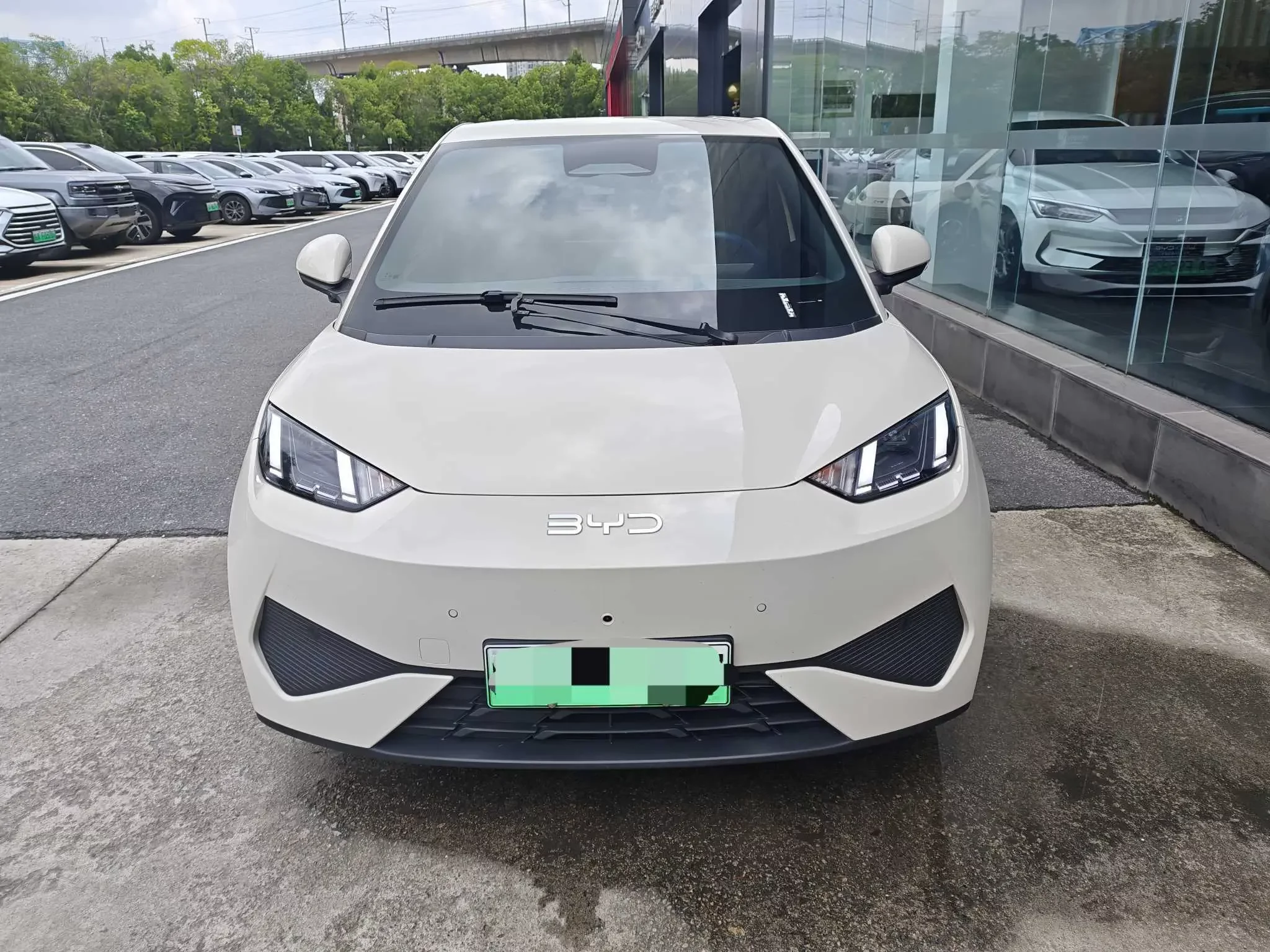 BYD seagull