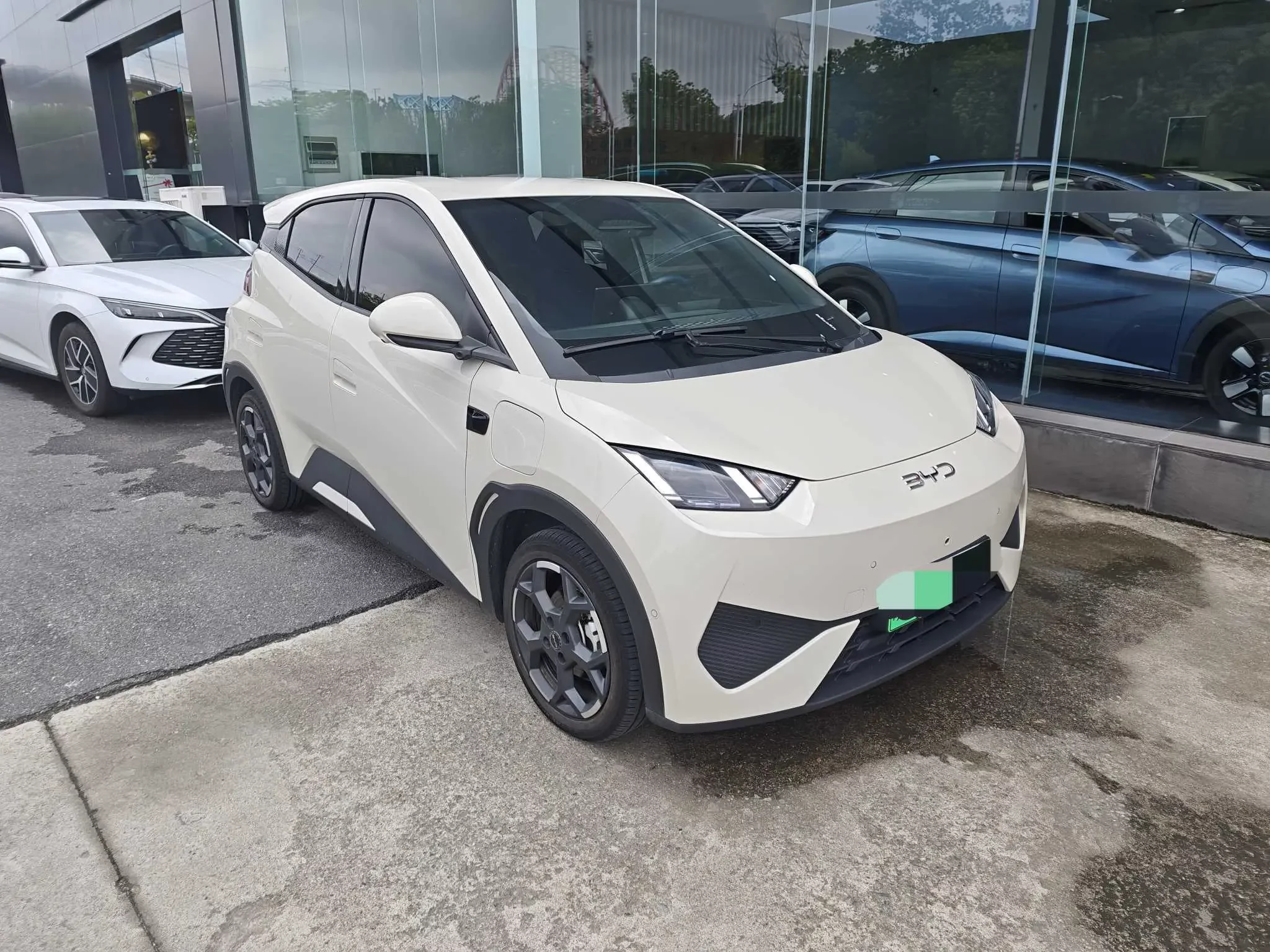 BYD seagull