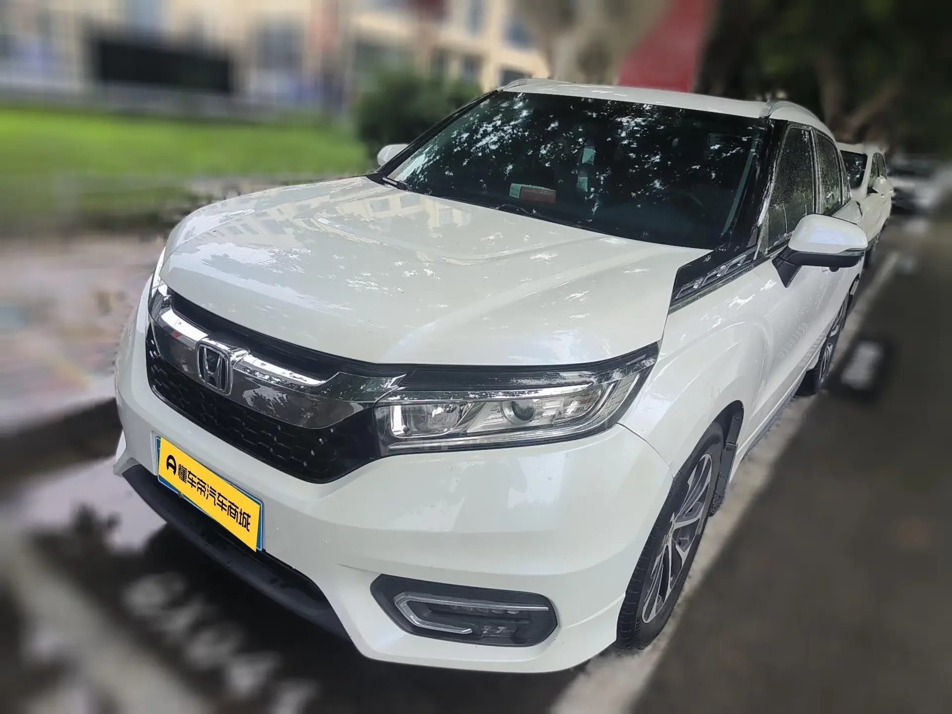 Honda Avancier (Crown Road)