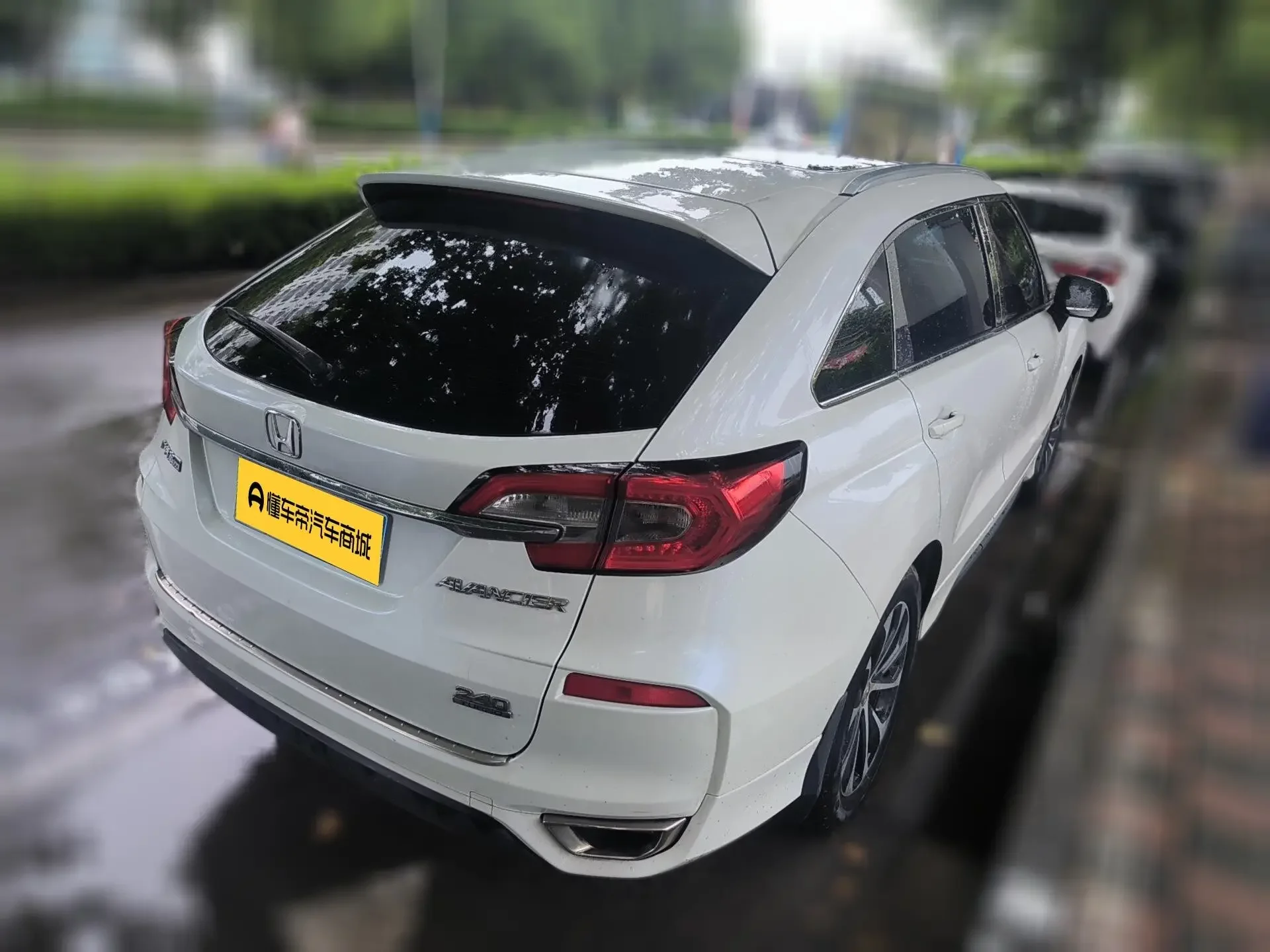 Honda Avancier (Crown Road)
