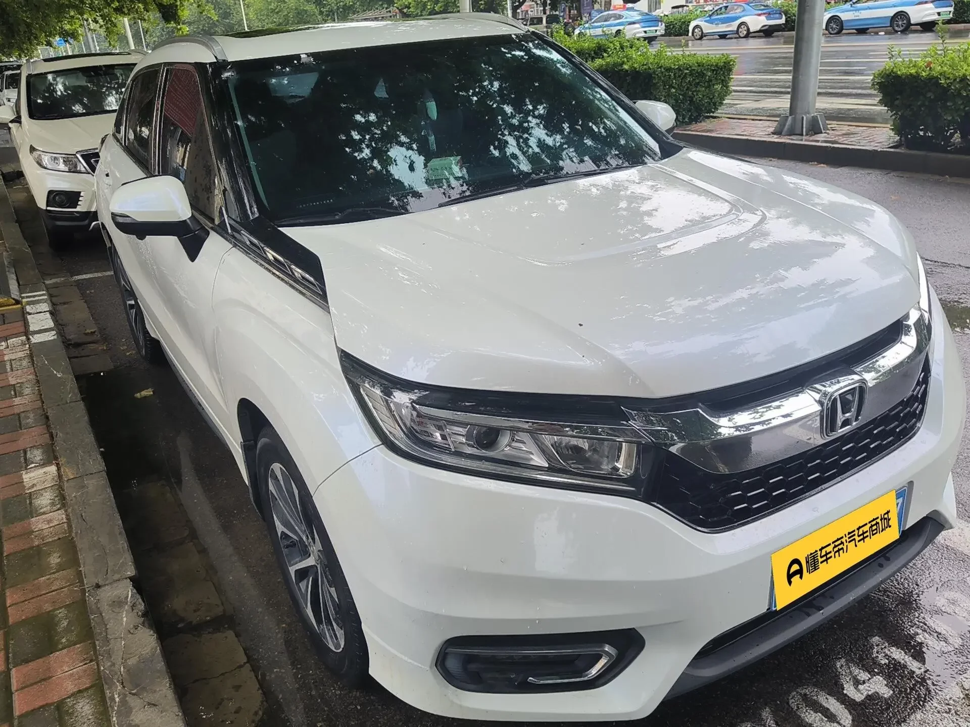 Honda Avancier (Crown Road)