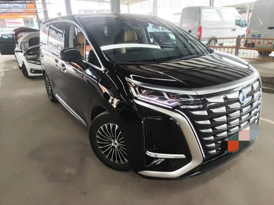 Denza D9 DM