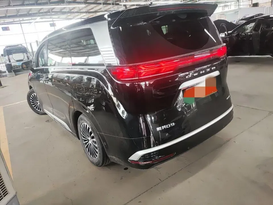Denza D9 DM