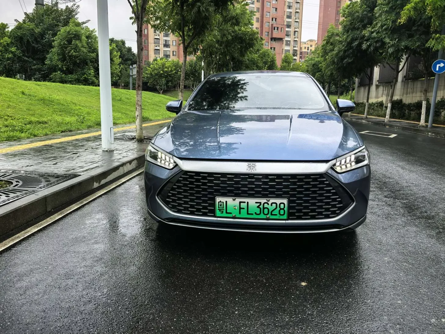 BYD Qin PLUS DM