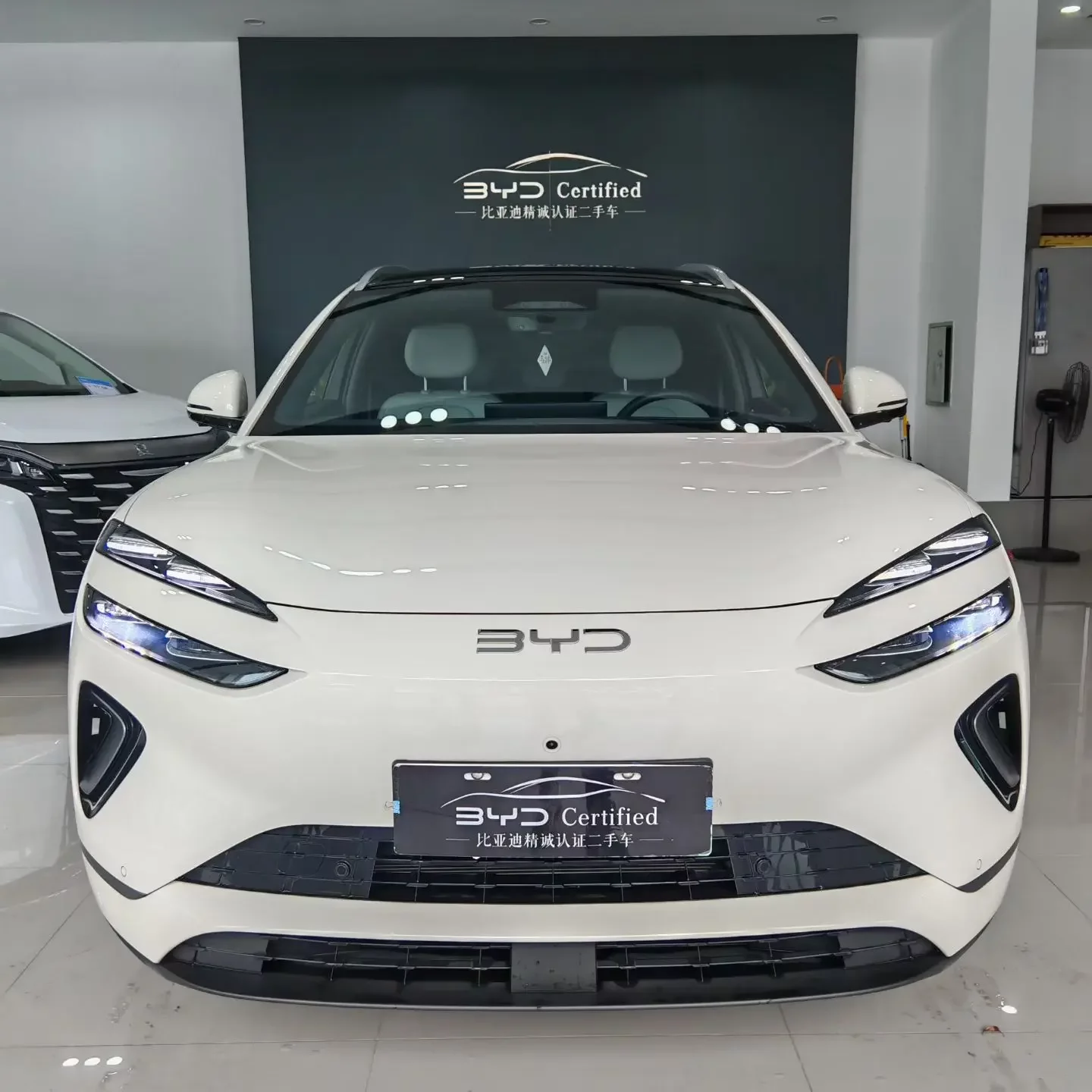 BYD Sea Lion 06DM