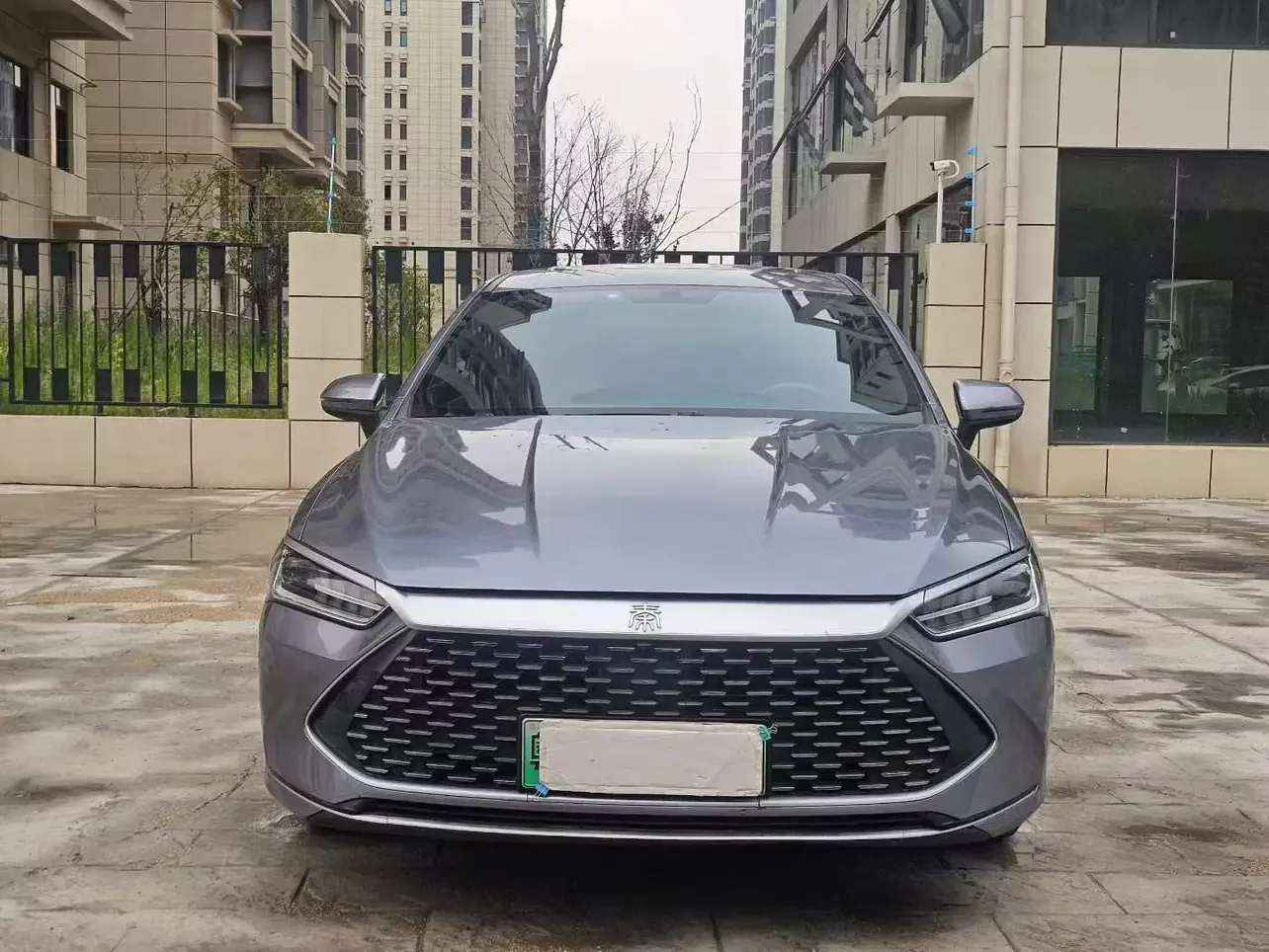 BYD Qin PLUS DM