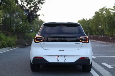Dongfeng Nano 01