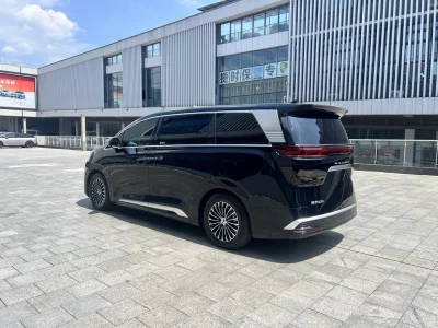 Denza D9 DM