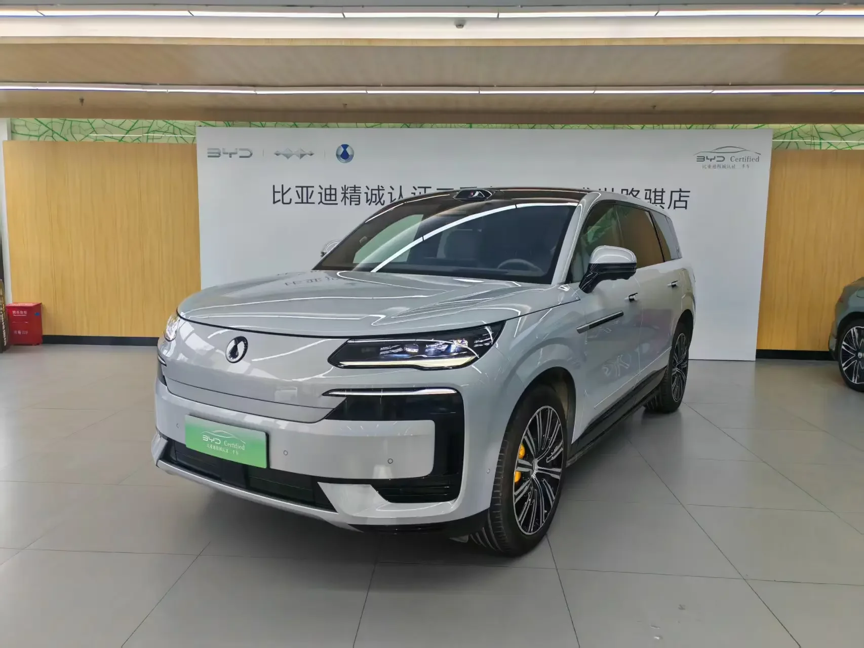 Denza Tengzhong N9 DM