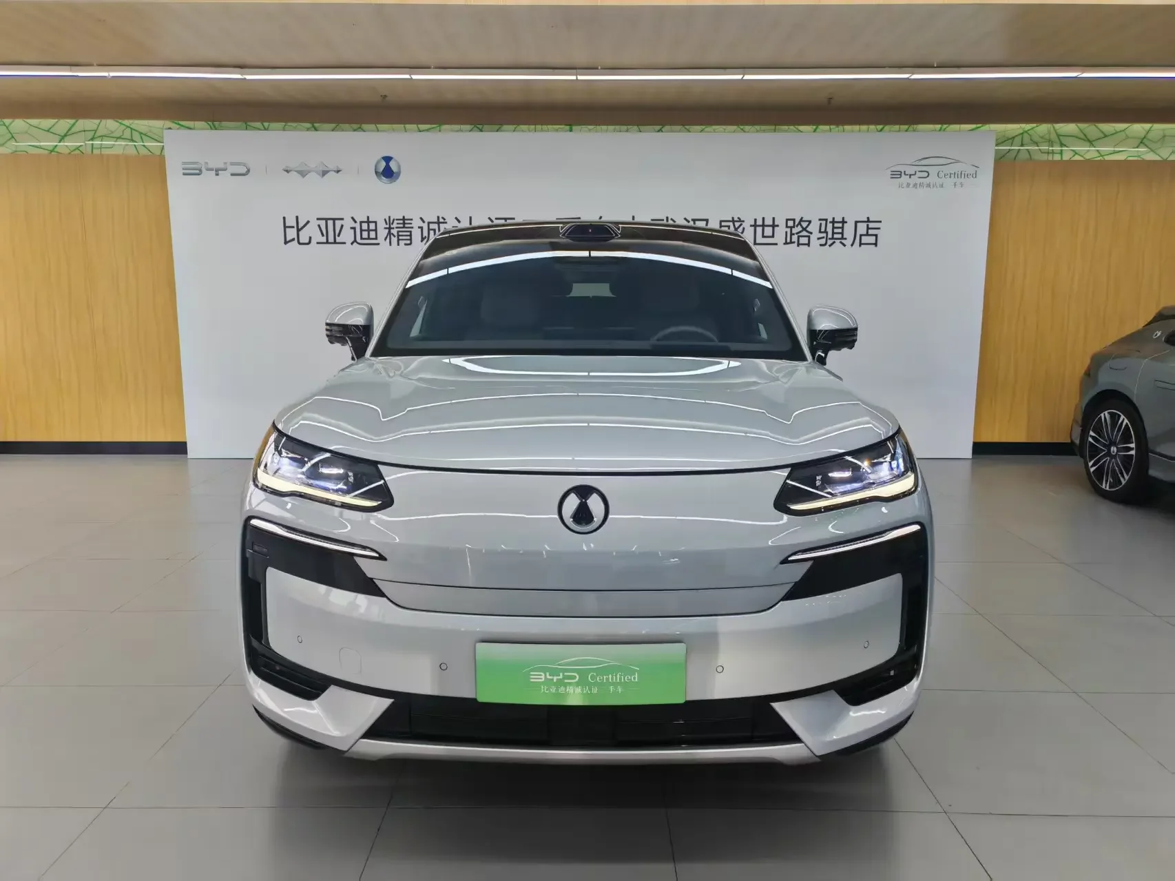 Denza Tengzhong N9 DM