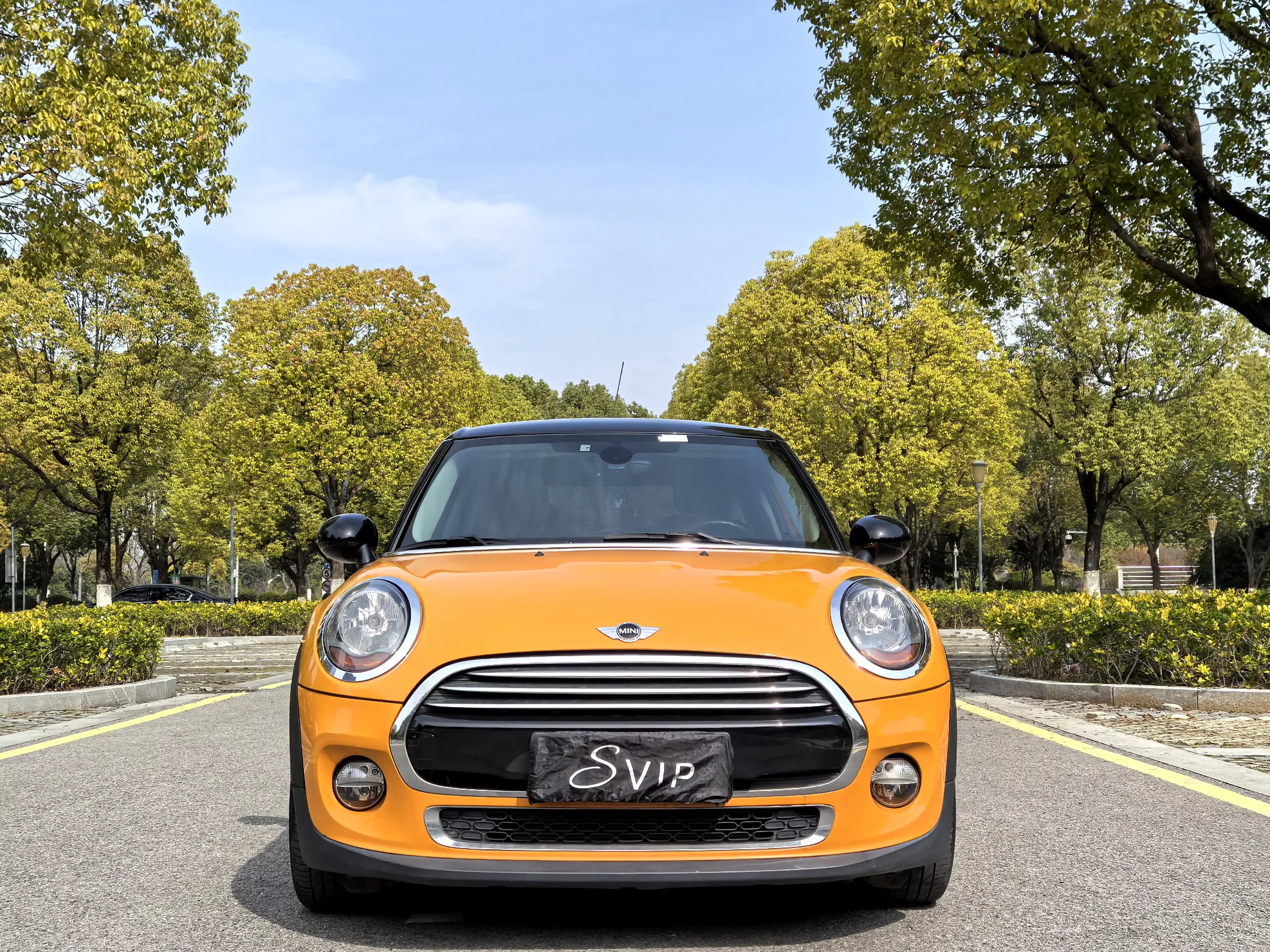 MINI MINI