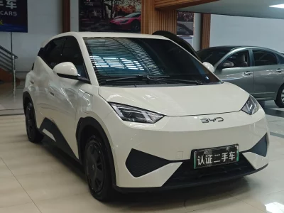 BYD Seagull