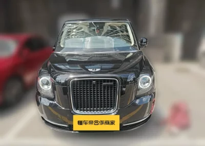 Geely LEVC TX