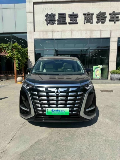 Denza D9 DM