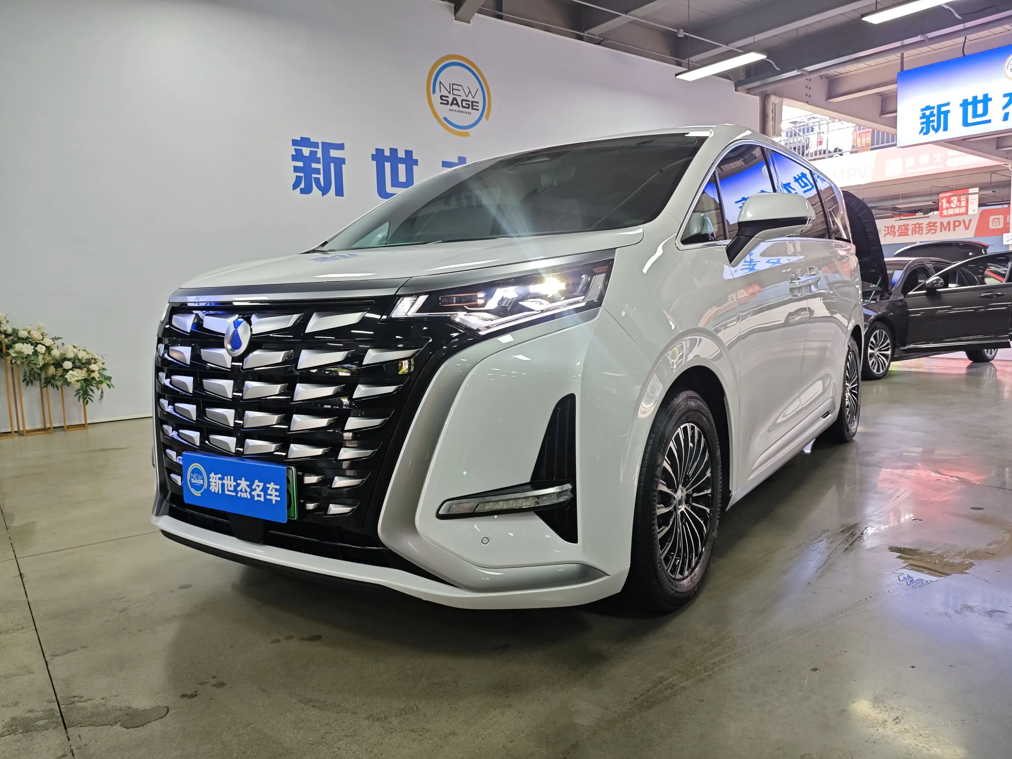 DENZA D9 DM