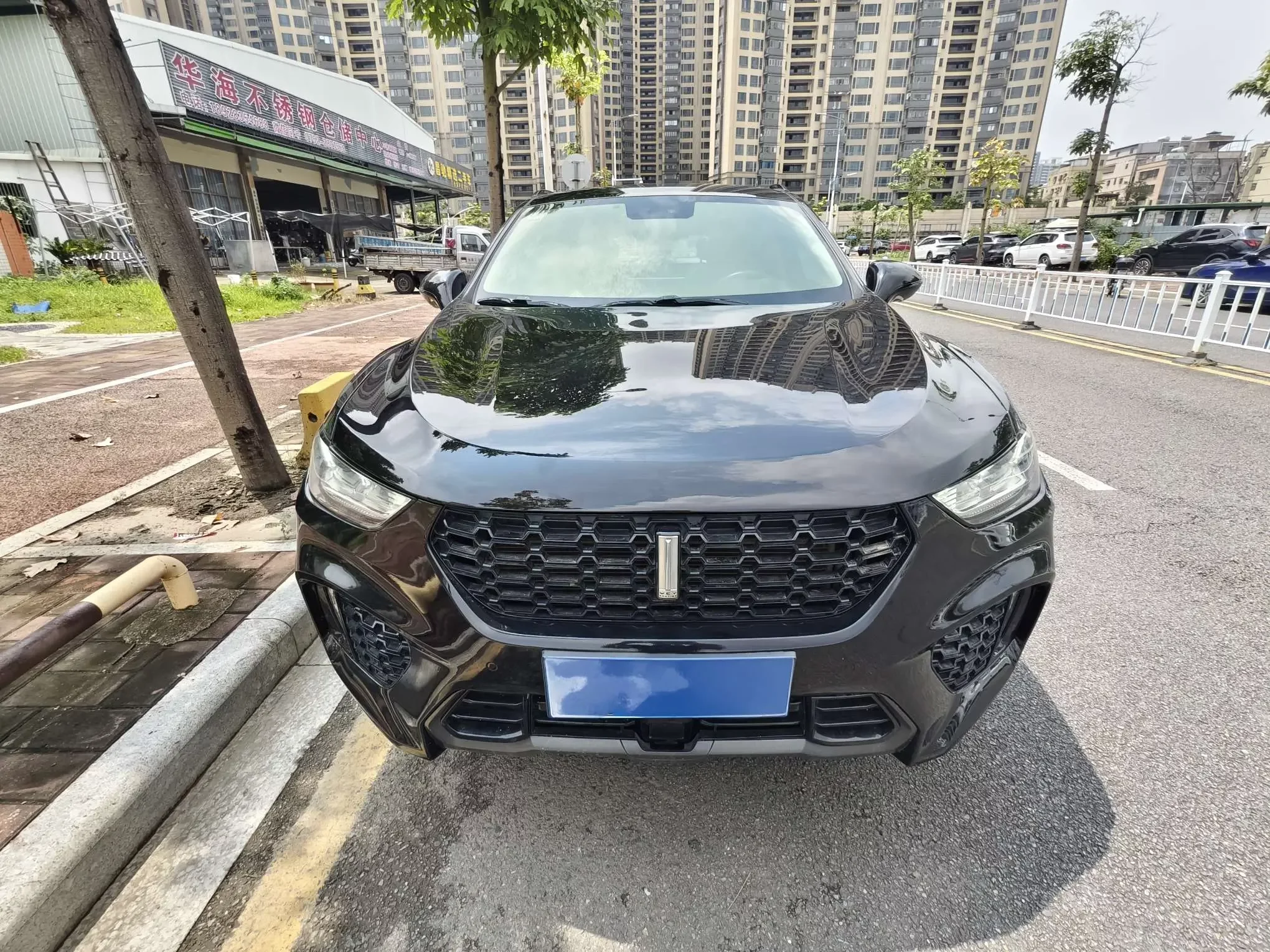 Wey Wei brand VV5