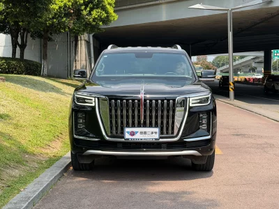Hongqi Red Flag Golden Sunflower National Glory